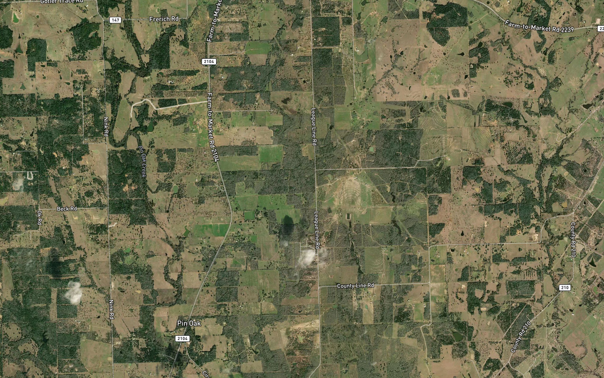 Alum Branch