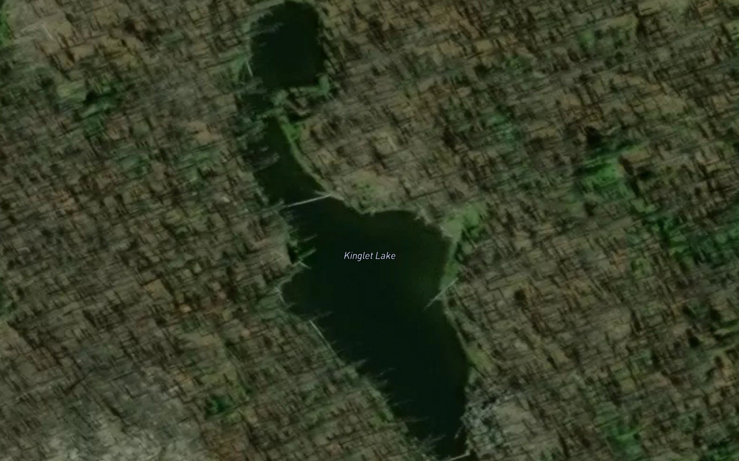 Kinglet Lake