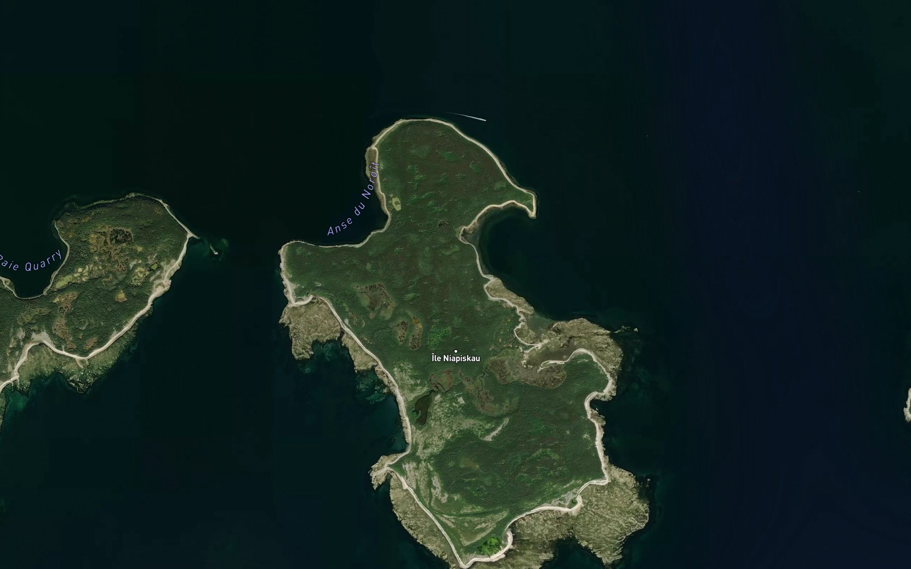 Satellite map of the Anse a Loups Marins