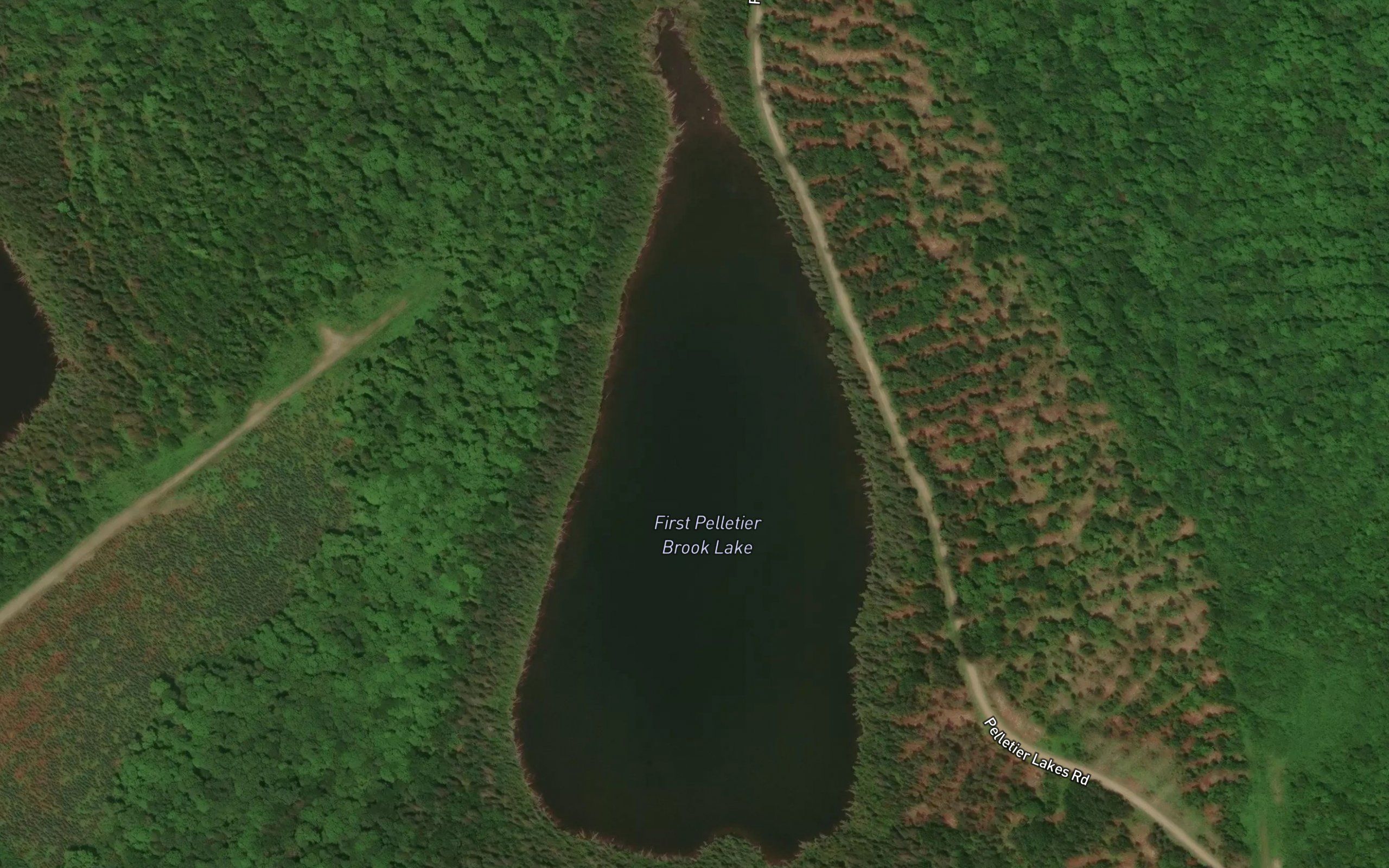 First Pelletier Brook Lake