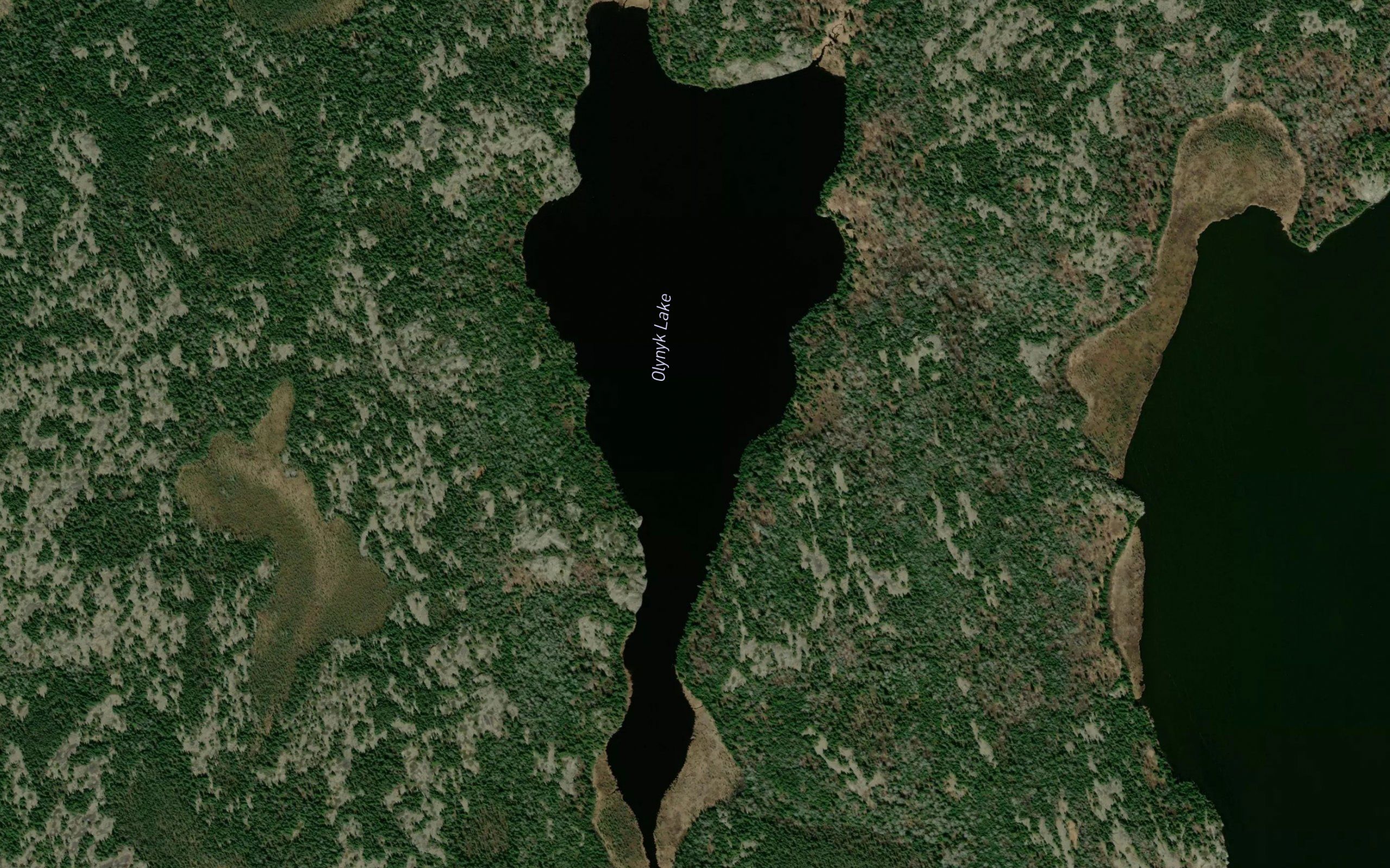 Olynyk Lake