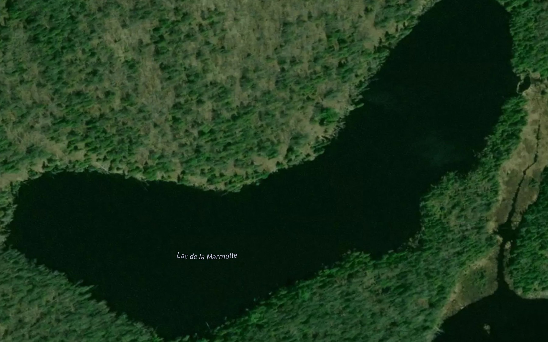 Satellite map of the Lac de la Marmotte