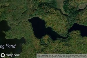 Slang Pond