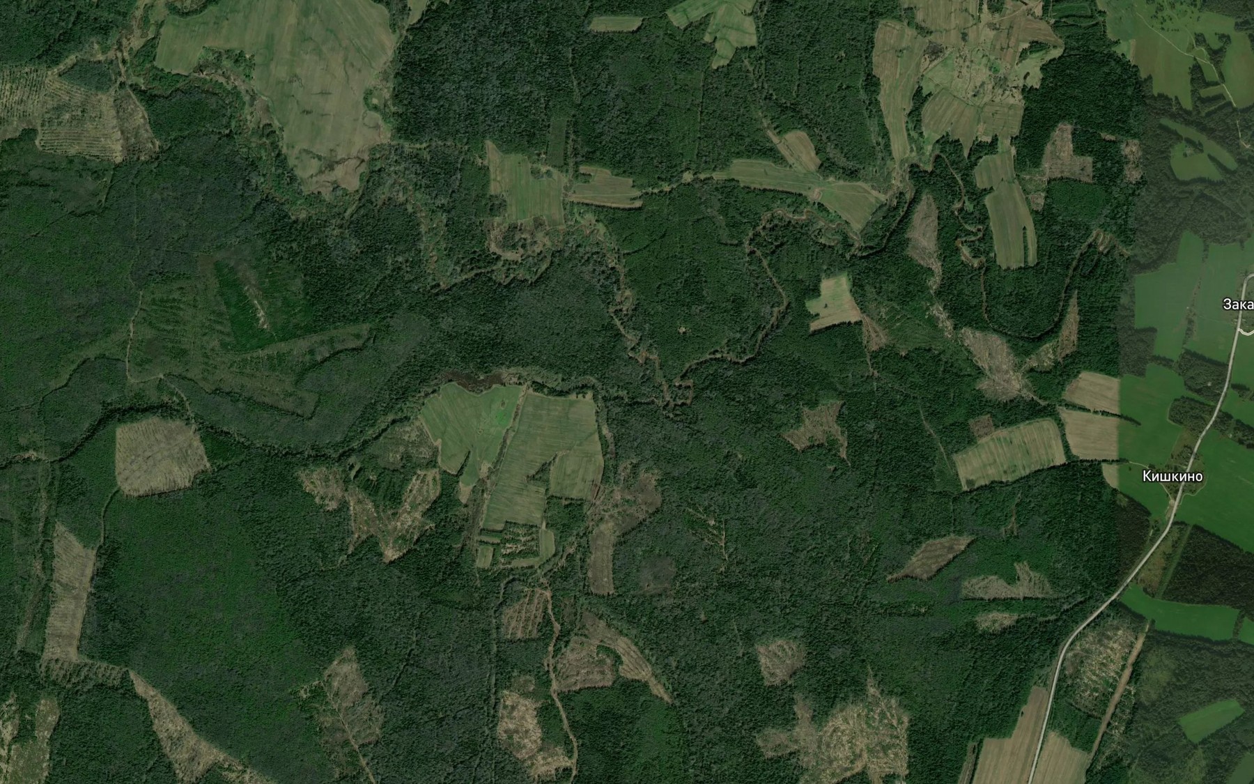 Satellite map of the Gornitsa
