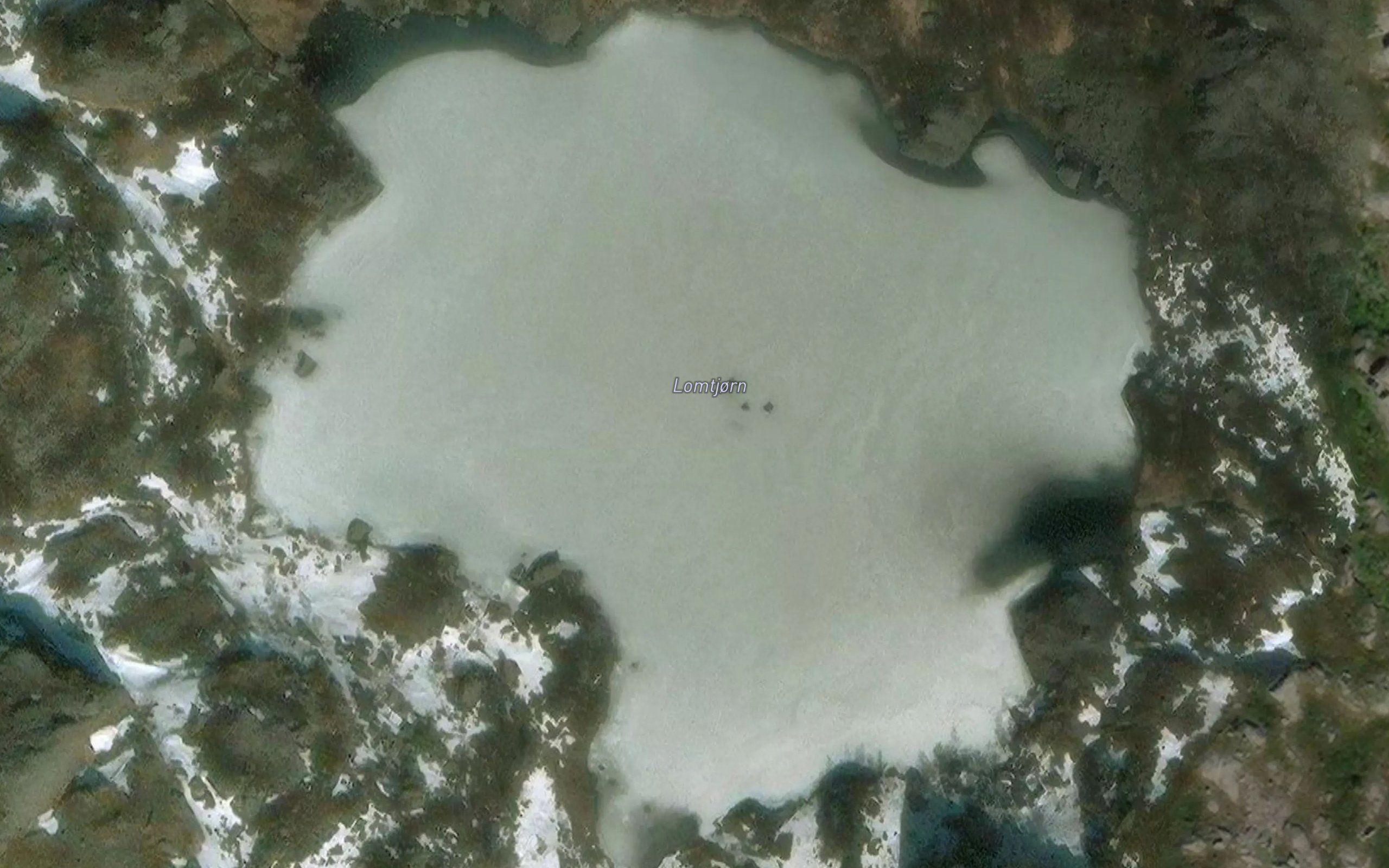 Lomtjorn
