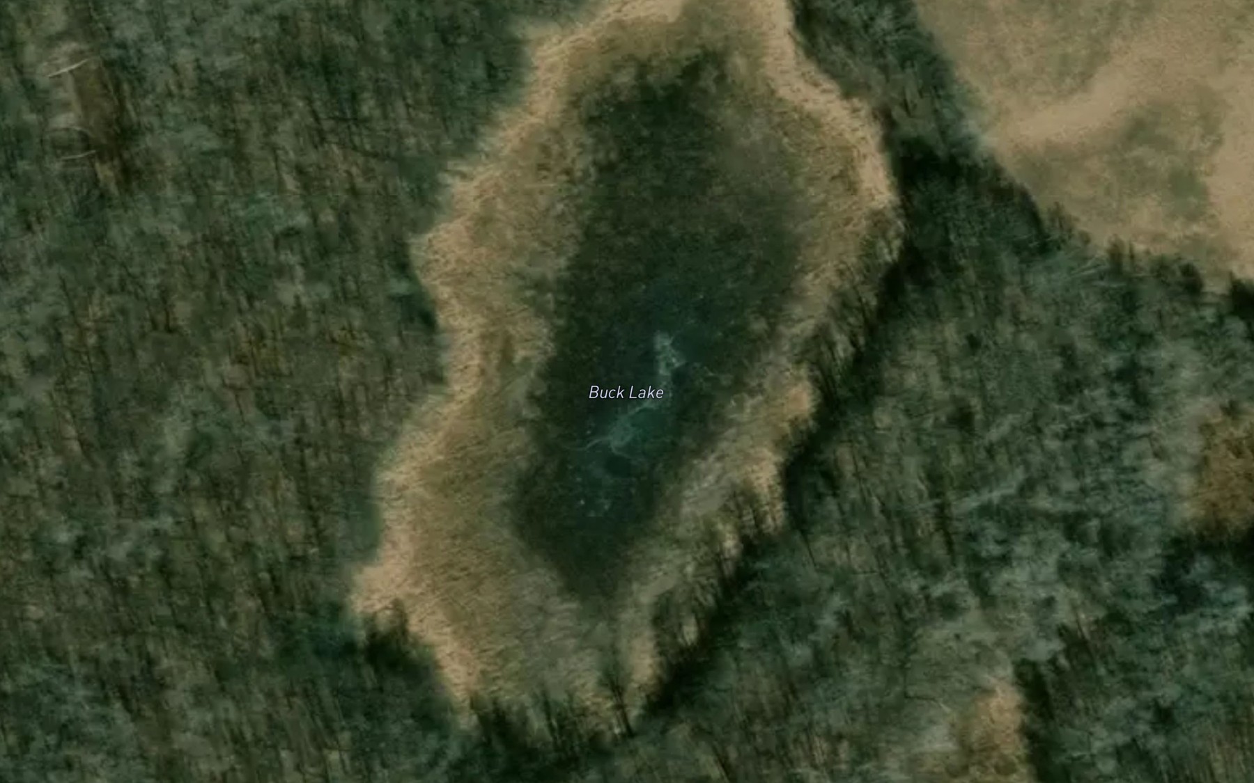 Satellite map of the Buck Lake