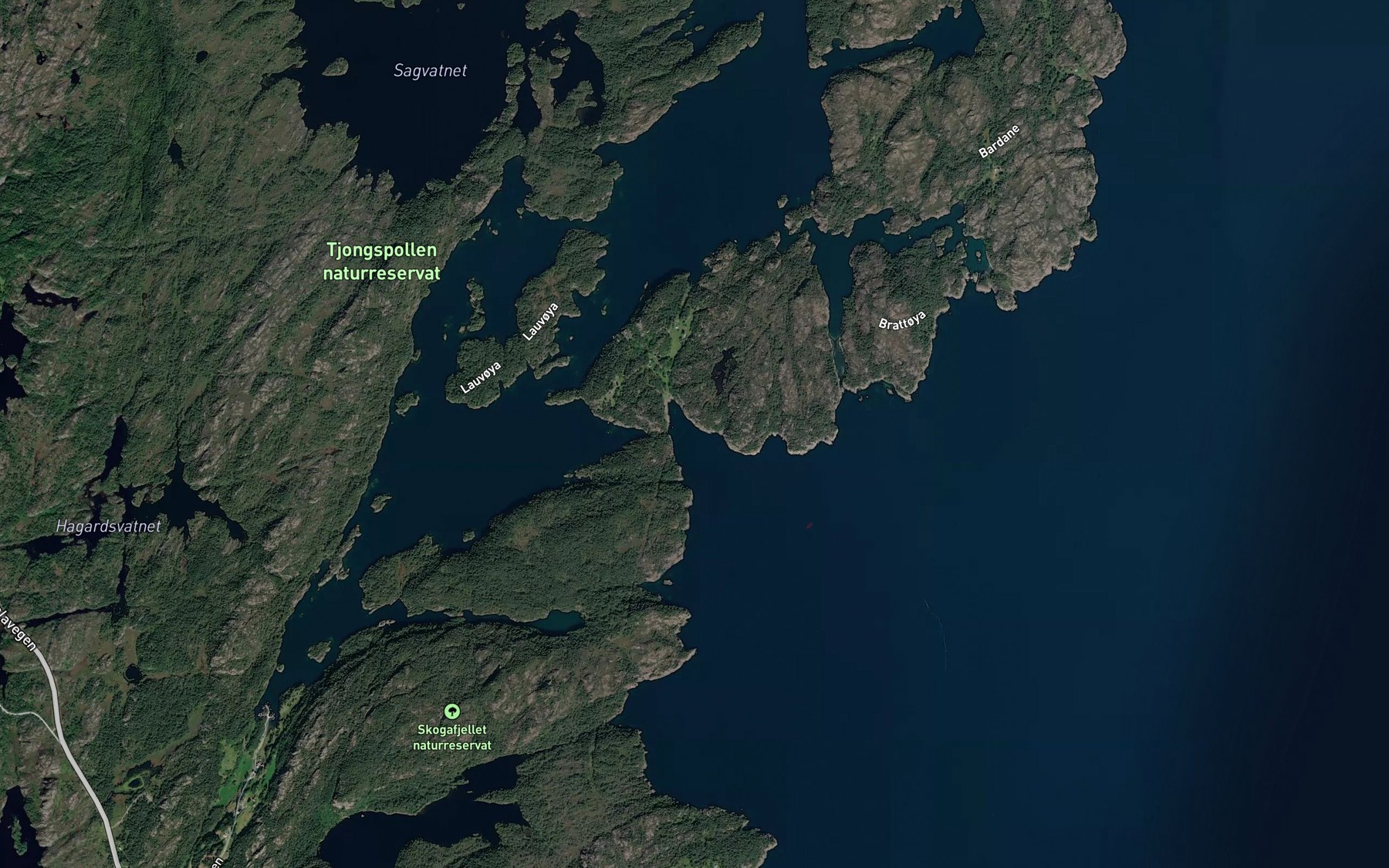 Satellite map of the Hjartnesvagen