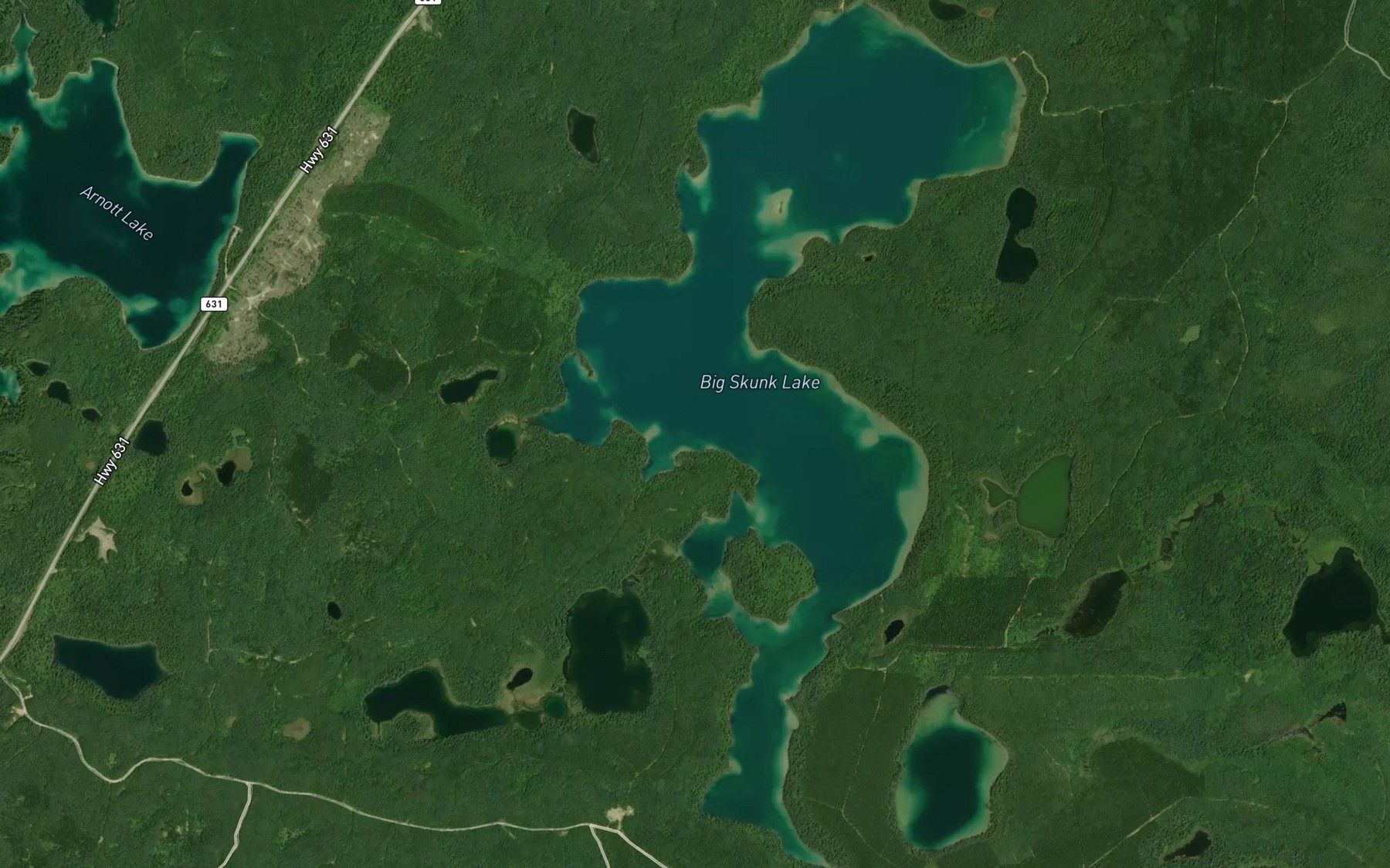 Satellite map of the Big Skunk Lake