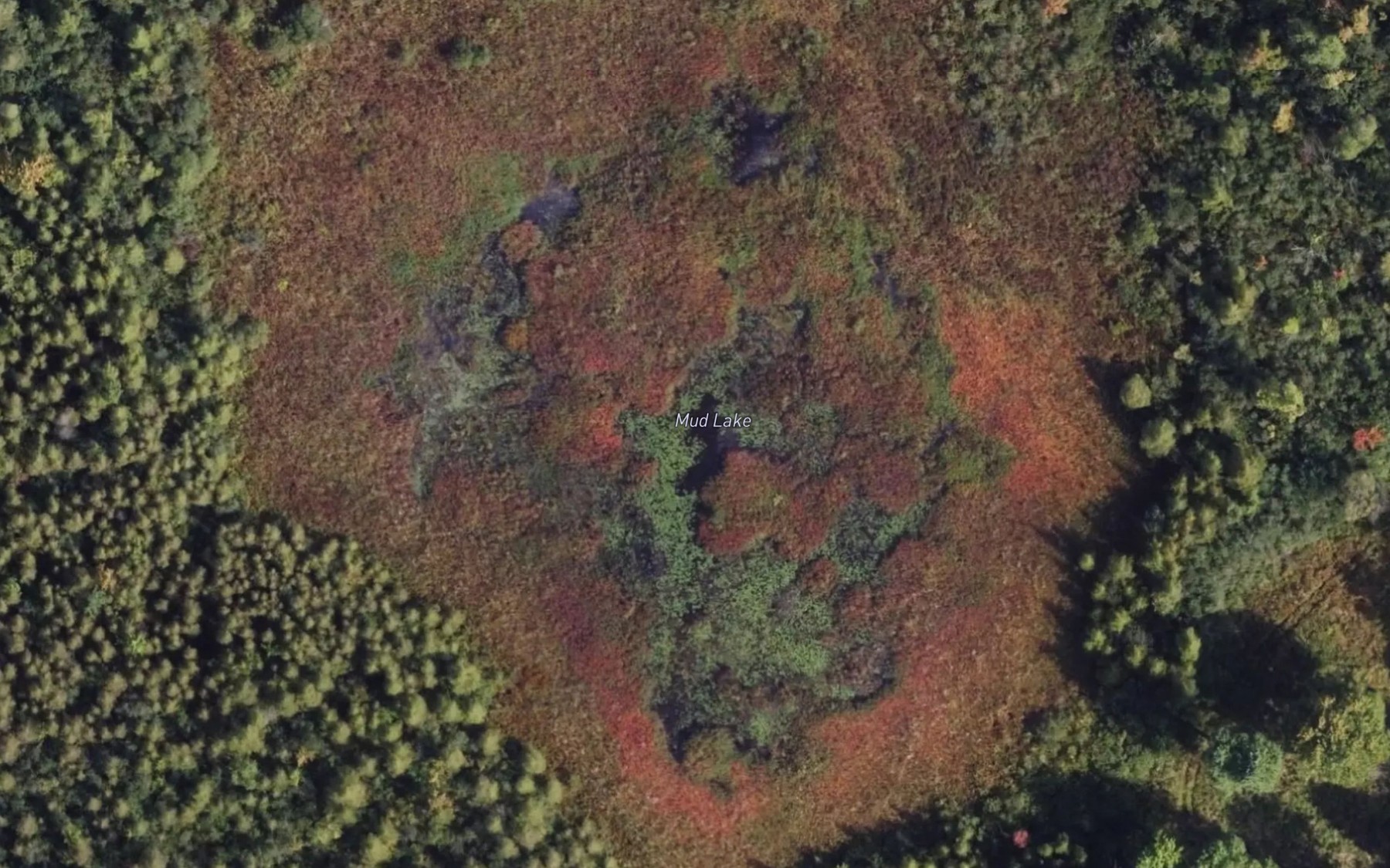 Satellite map of the Mud Lake