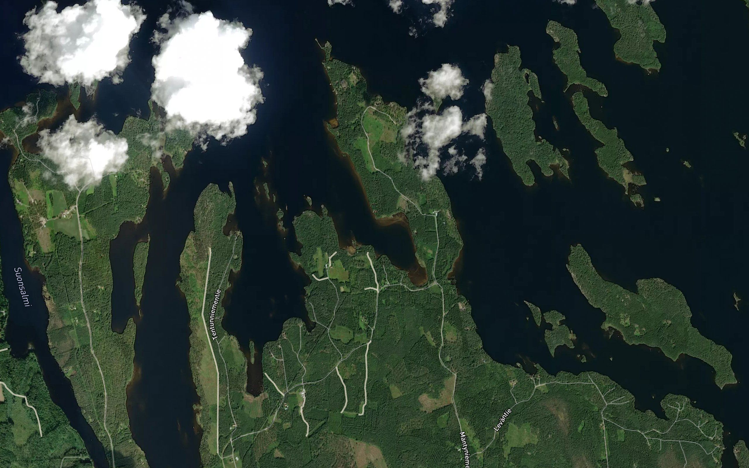 Paappasenlahti