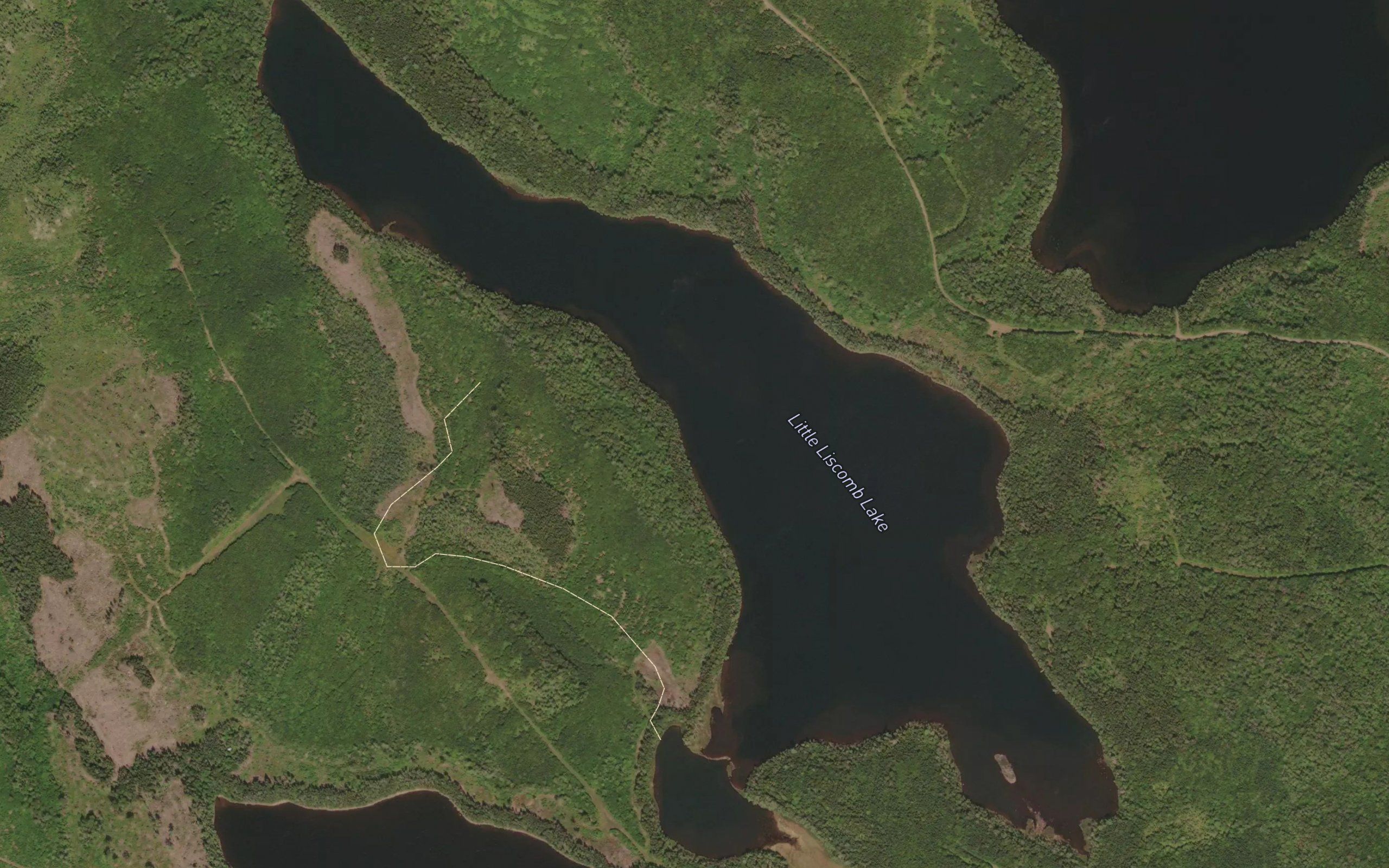 Little Liscomb Lake