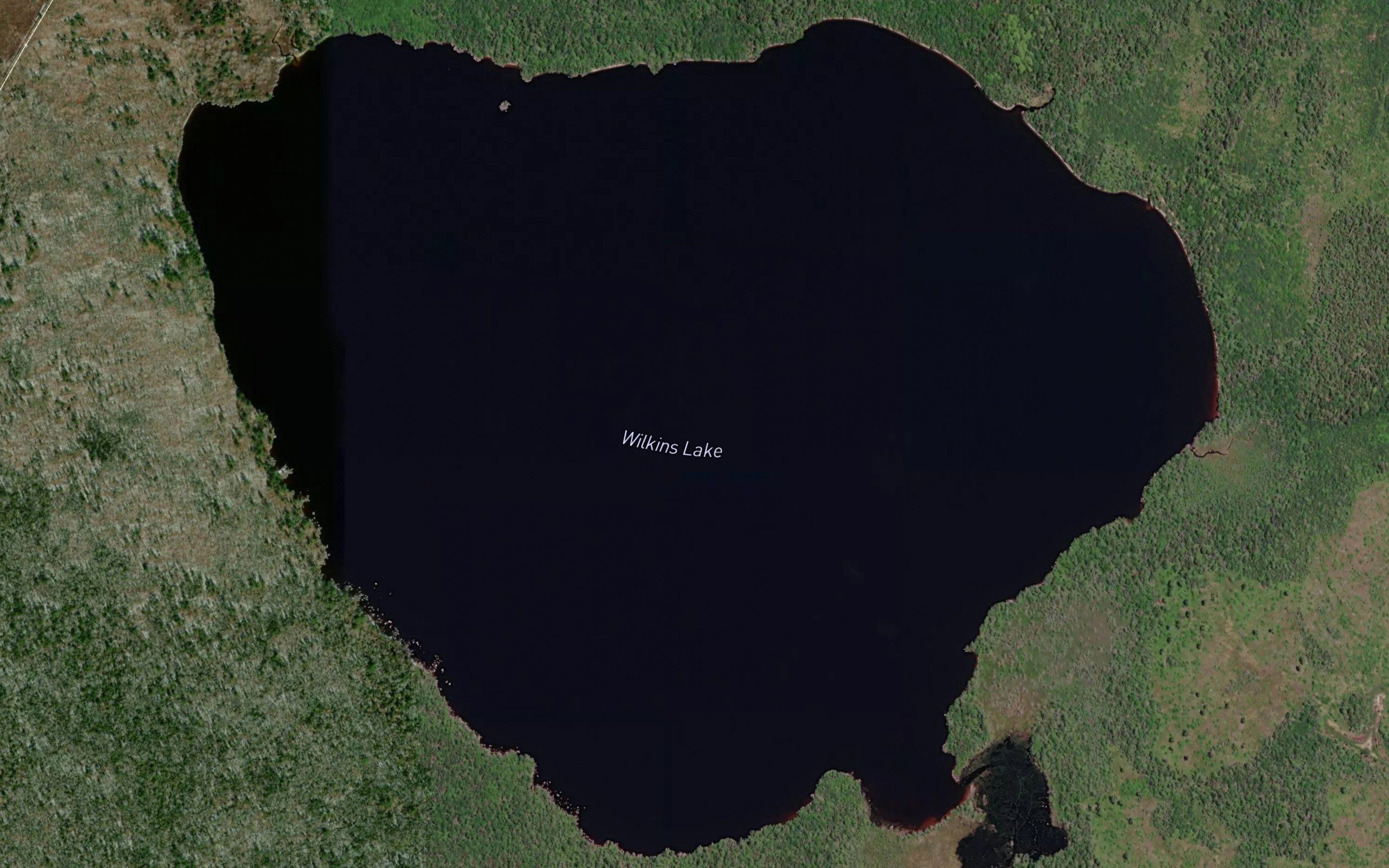 Wilkins Lake