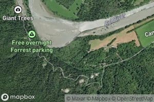 Poison Oak Creek