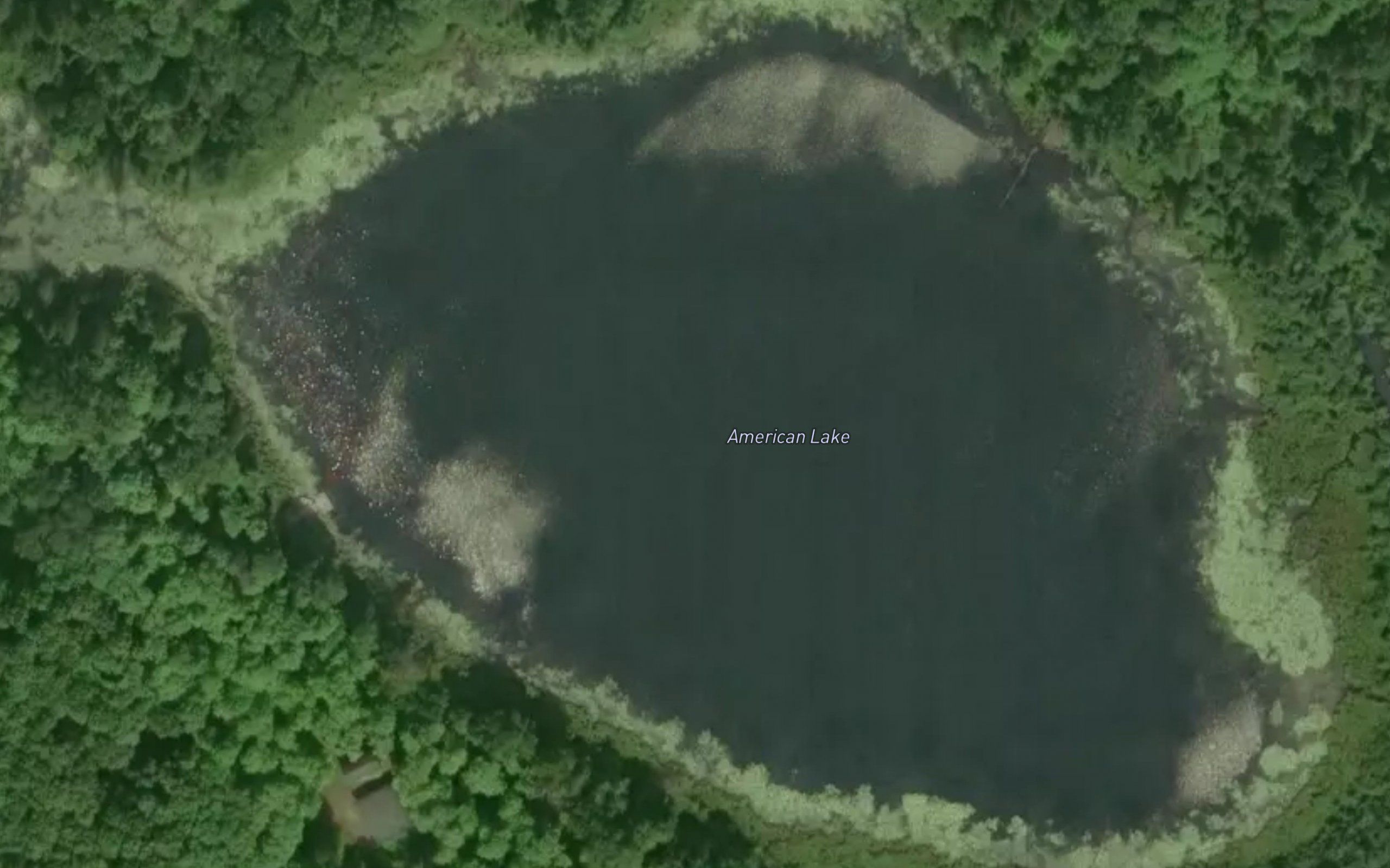 American Lake