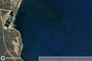 Hawkers Devil Reef