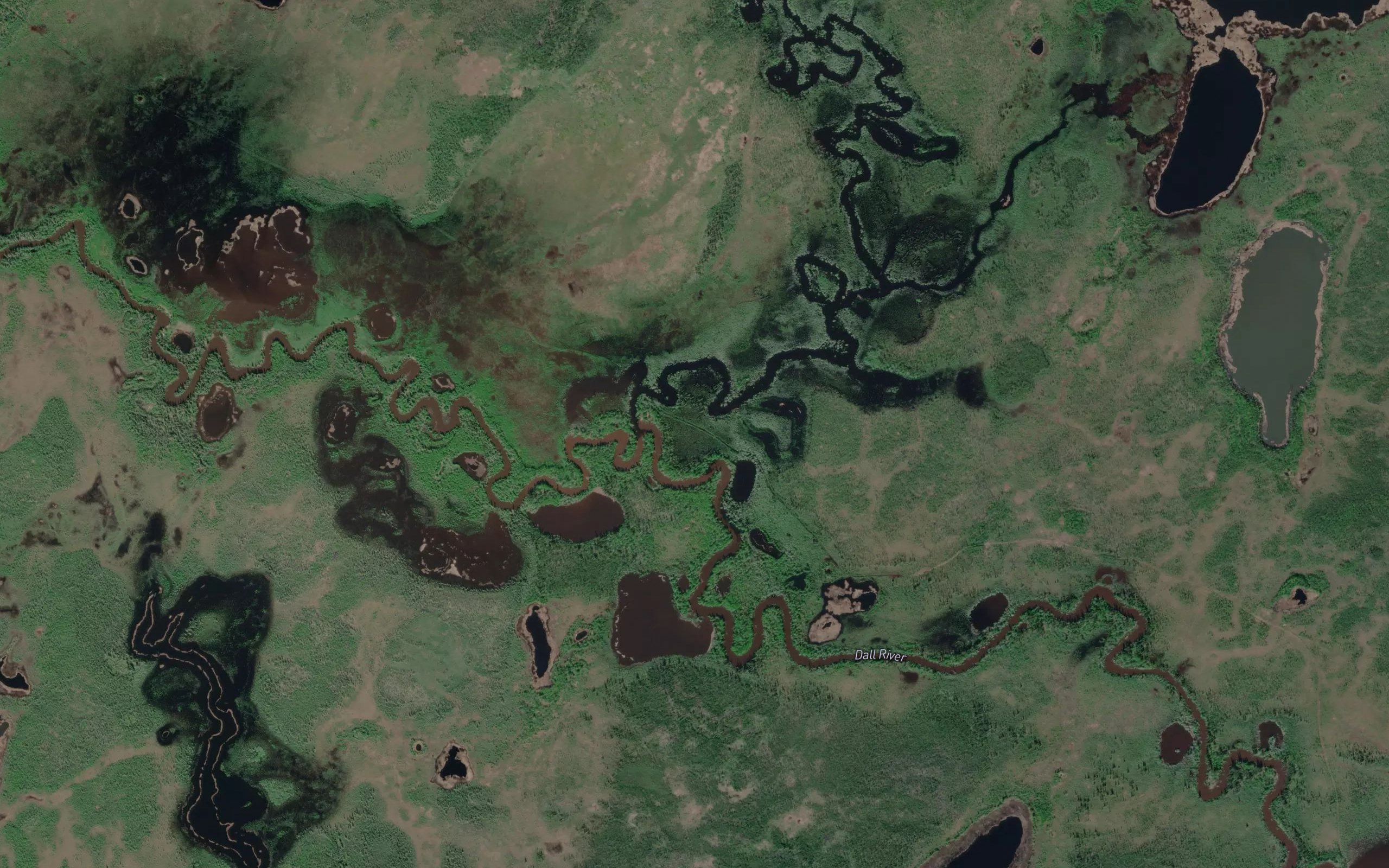 The Forks