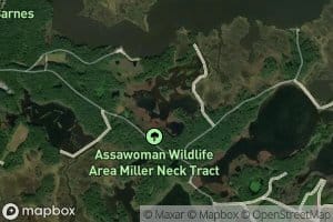 Thirty-five Acre Pond