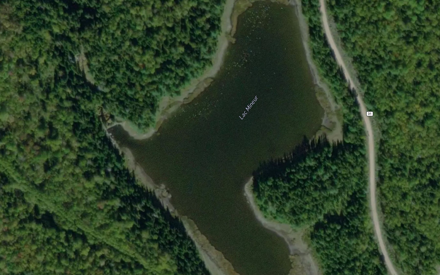 Satellite map of the Lac Mineur