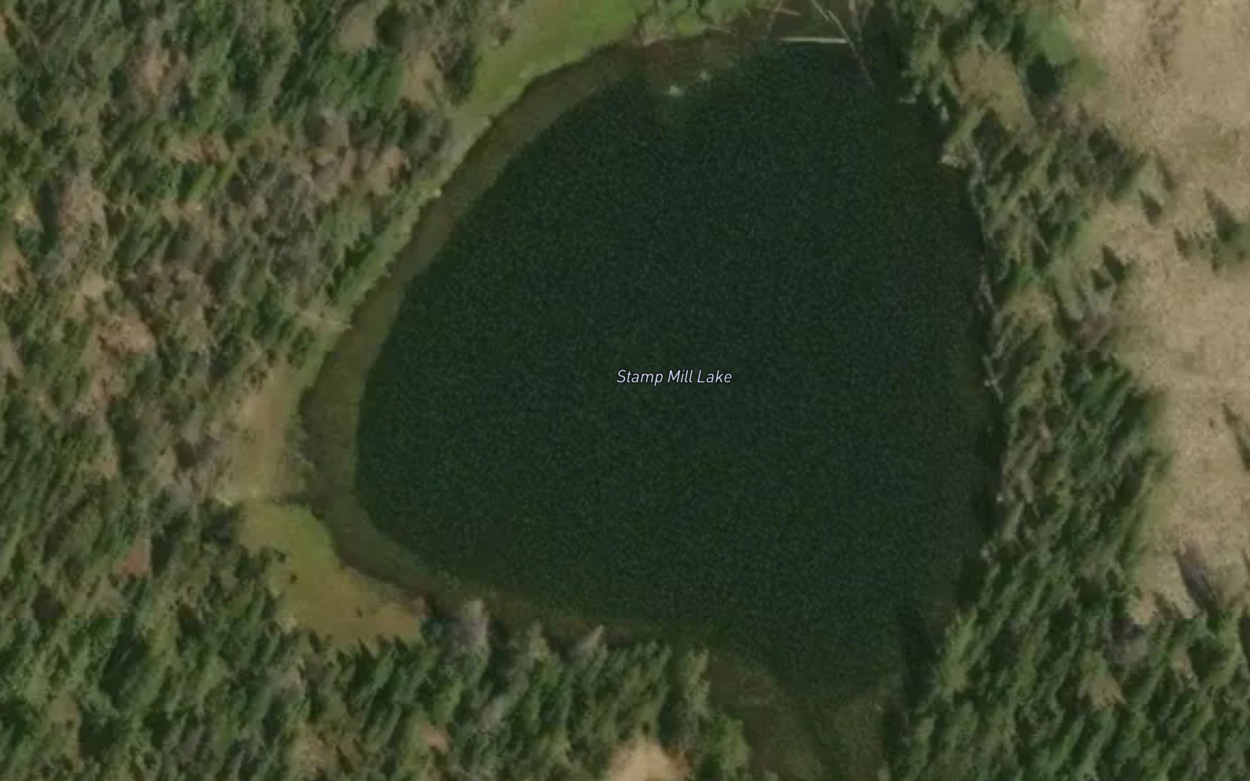 Stamp Mill Lake