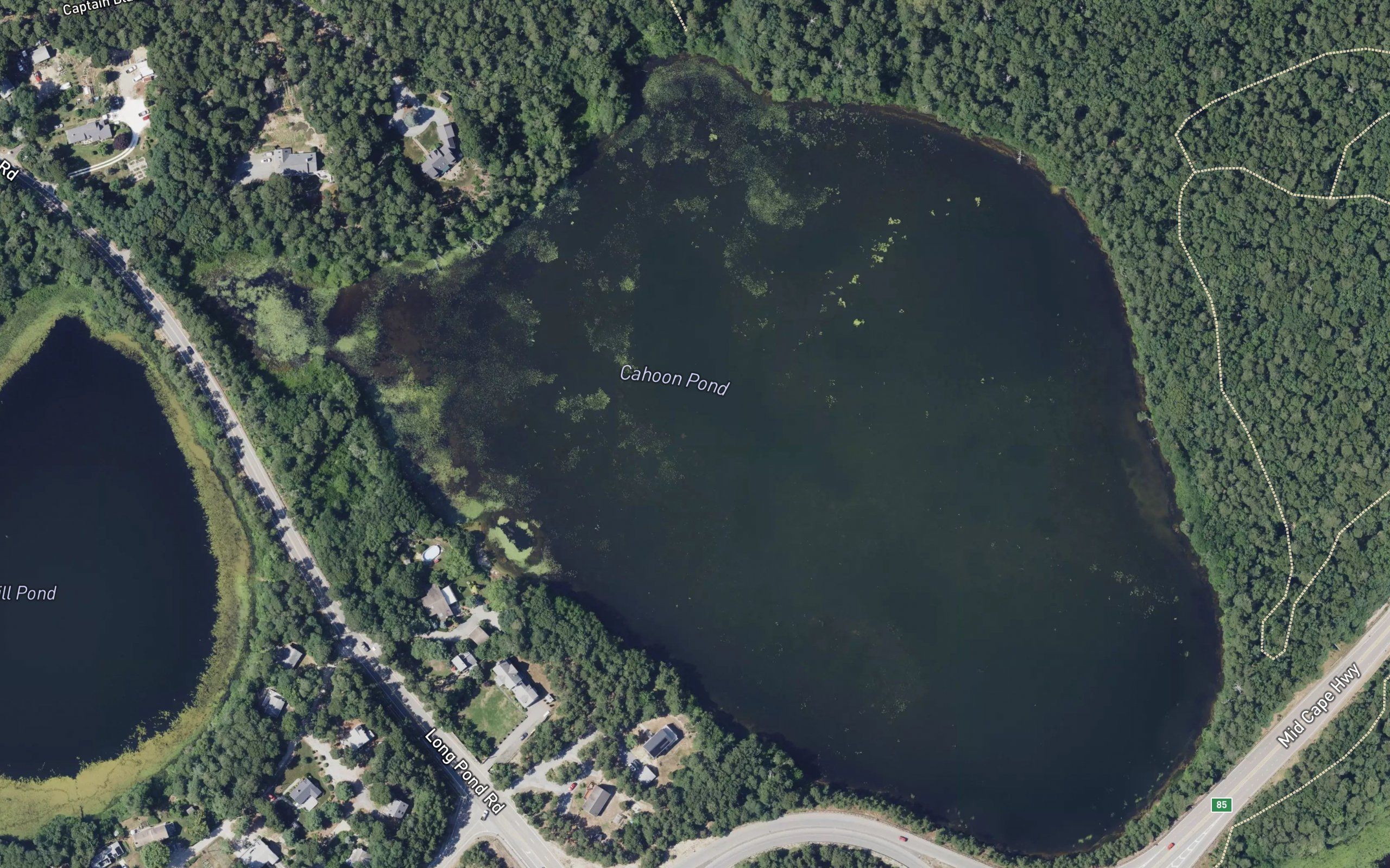 Cahoon Pond