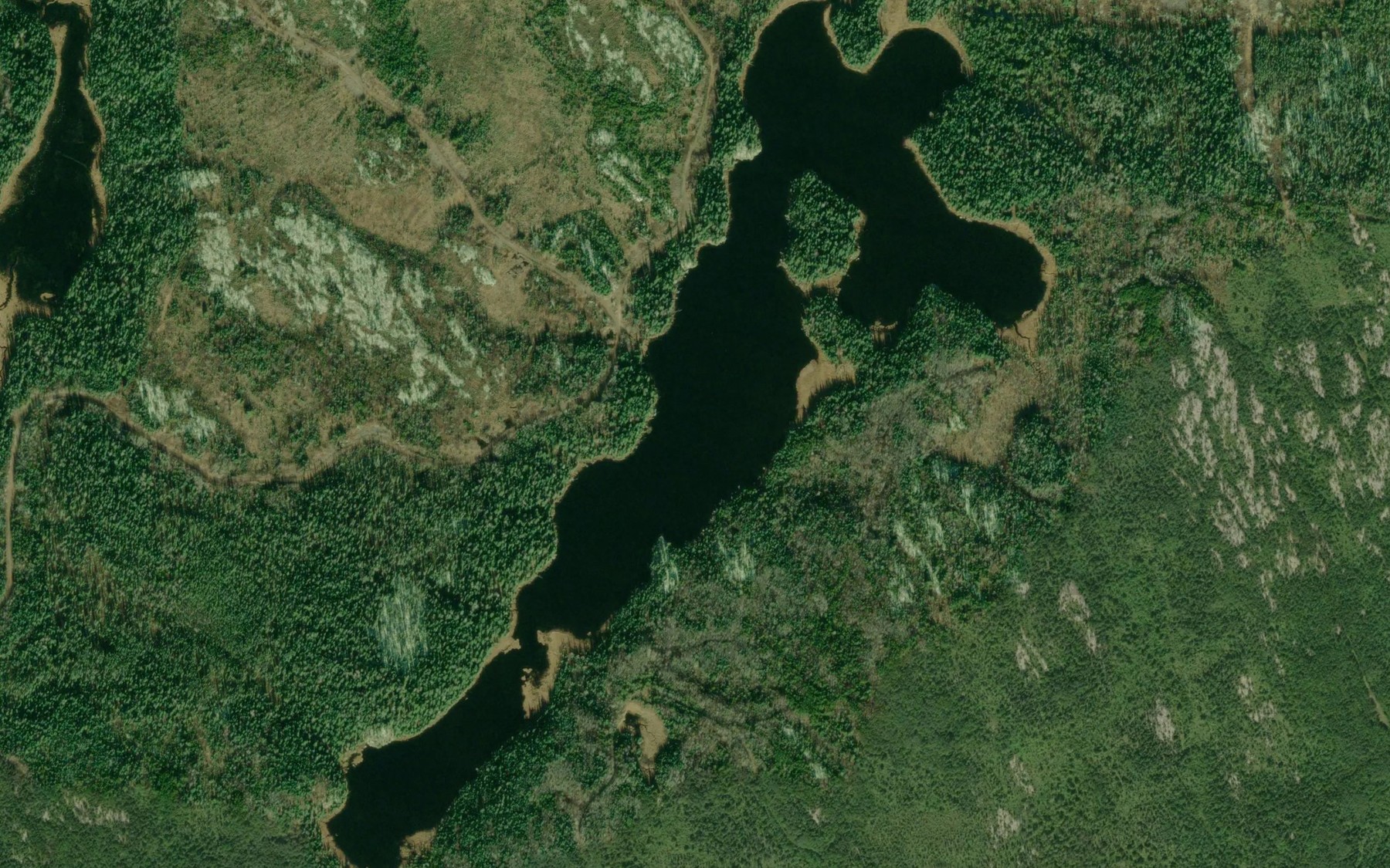 Satellite map of the Little Toad Lake