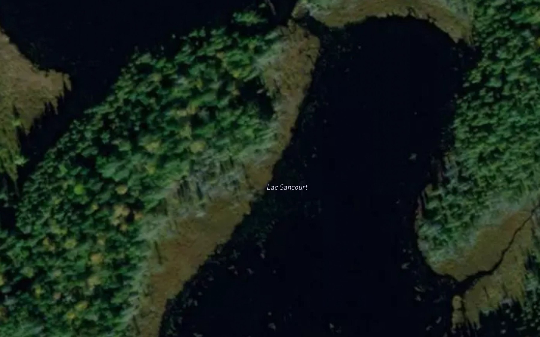 Satellite map of the Lac Sancourt