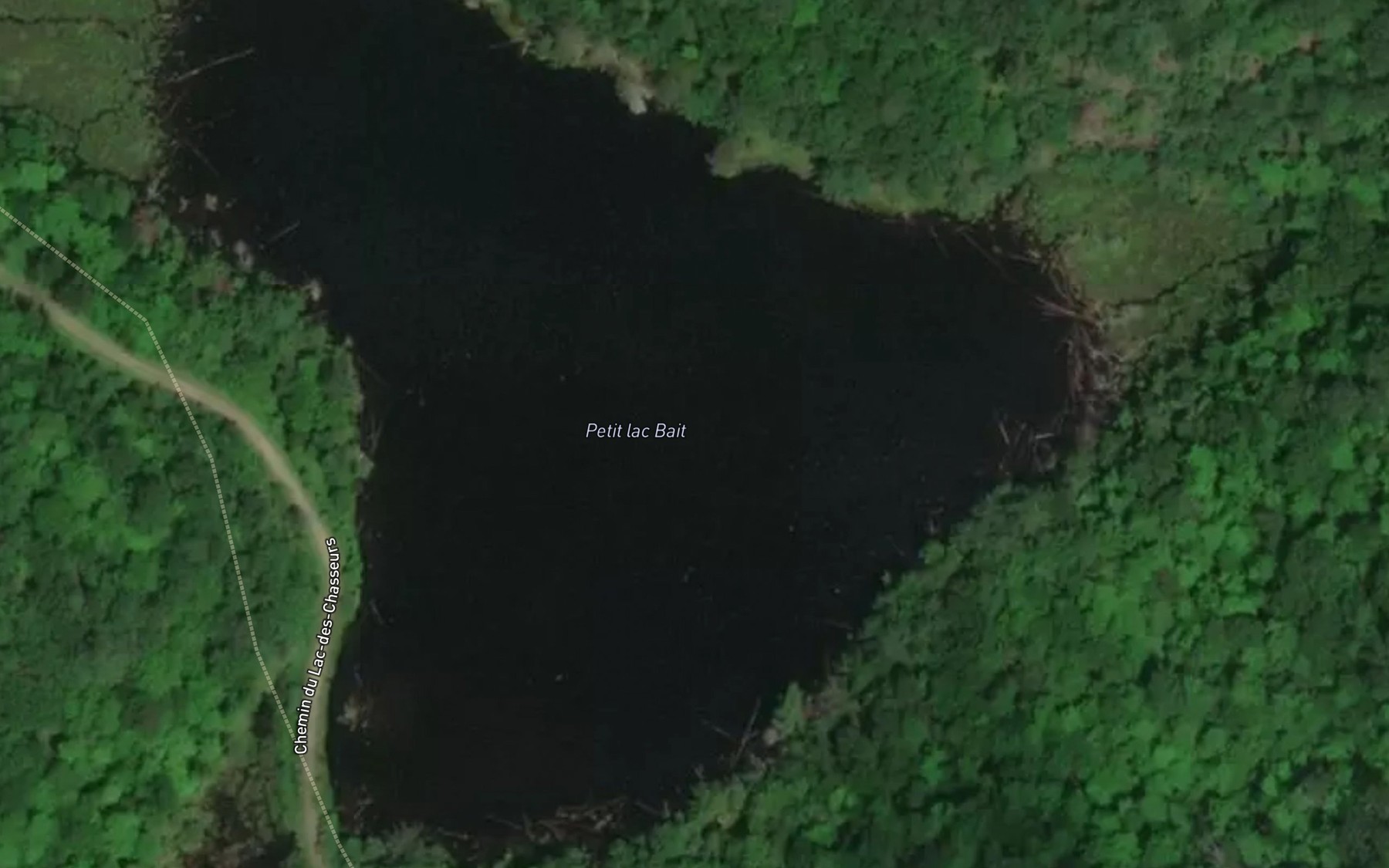 Satellite map of the Petit lac Bait