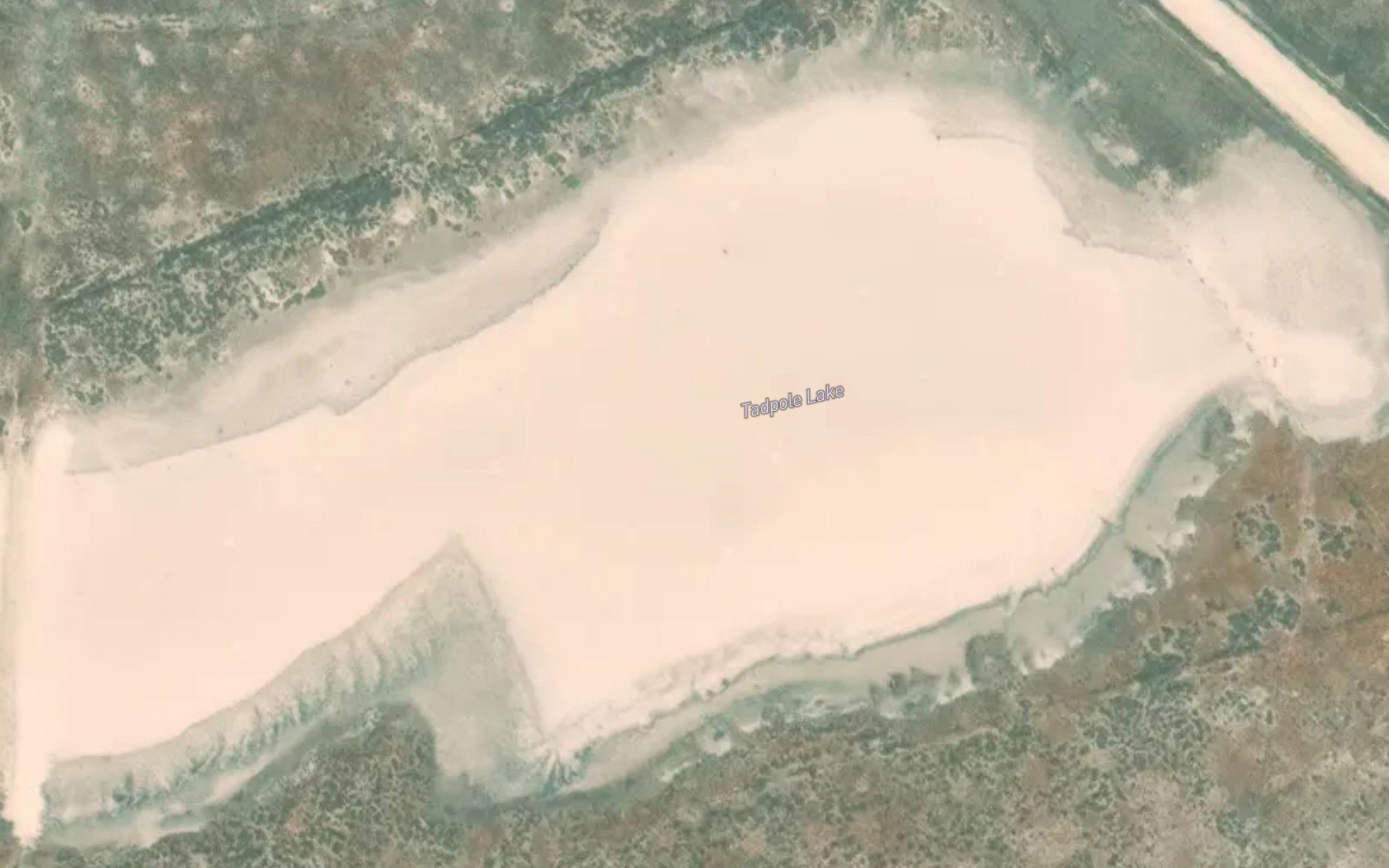 Tadpole Lake