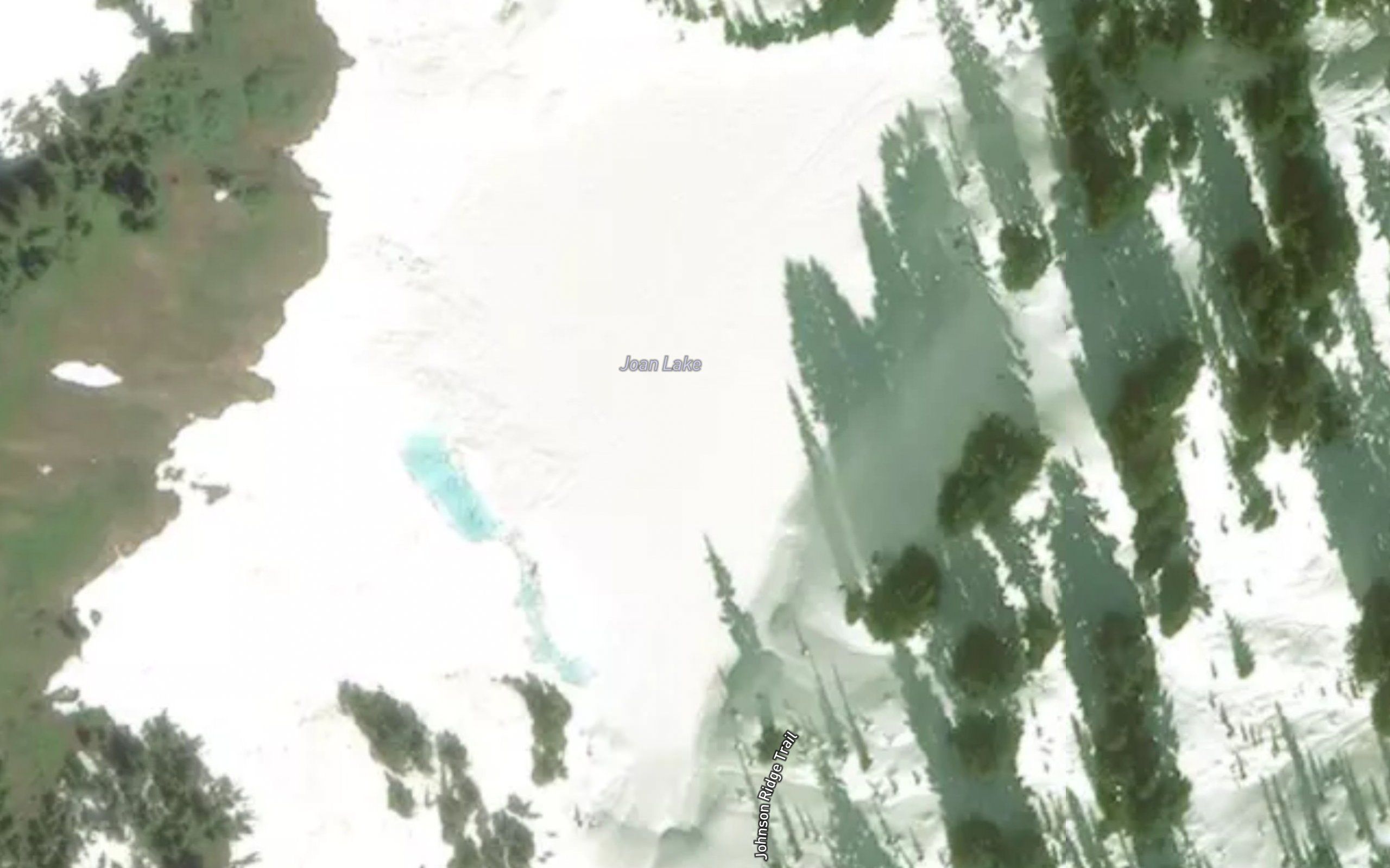 Joan Lake