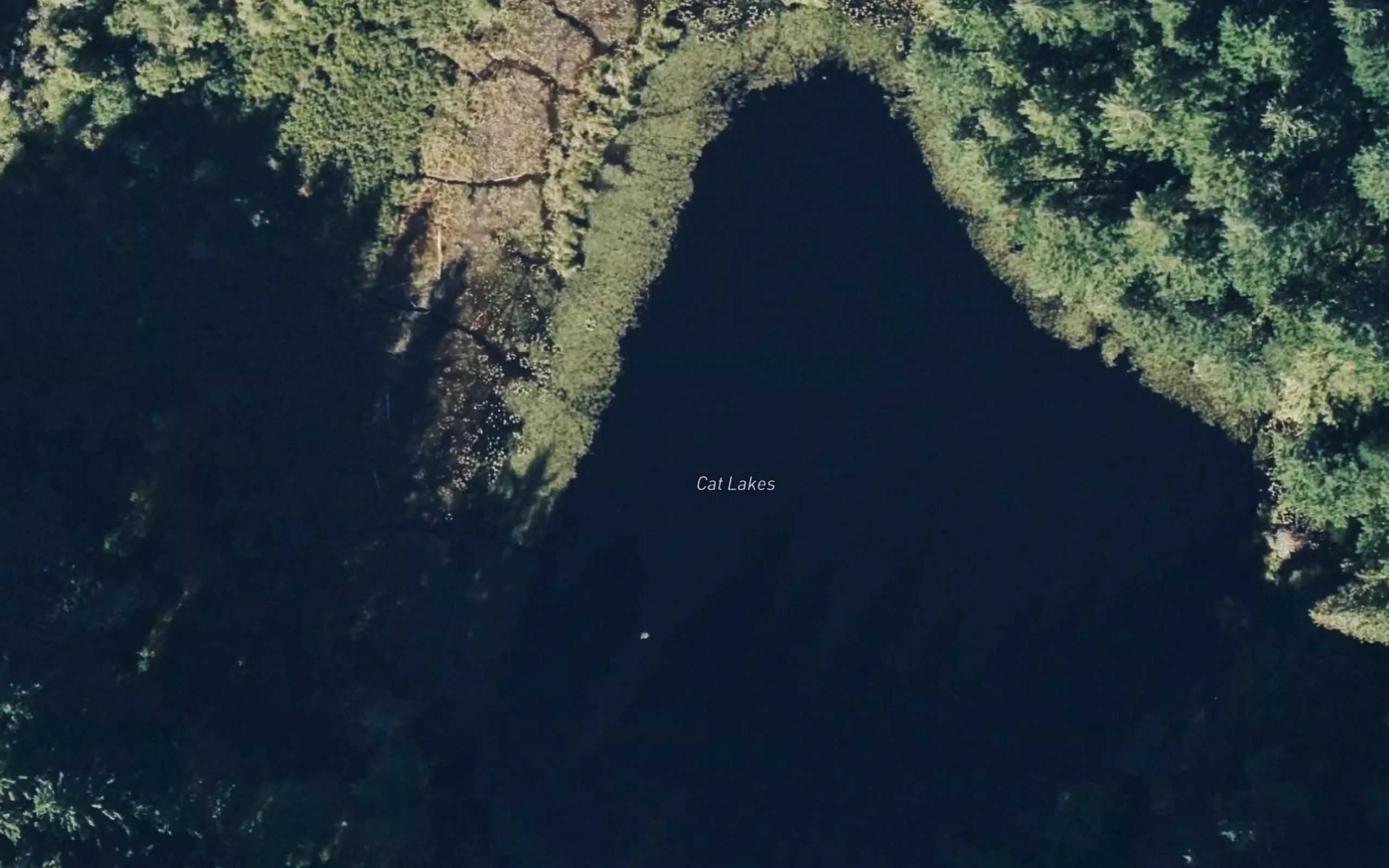 Cat Lakes