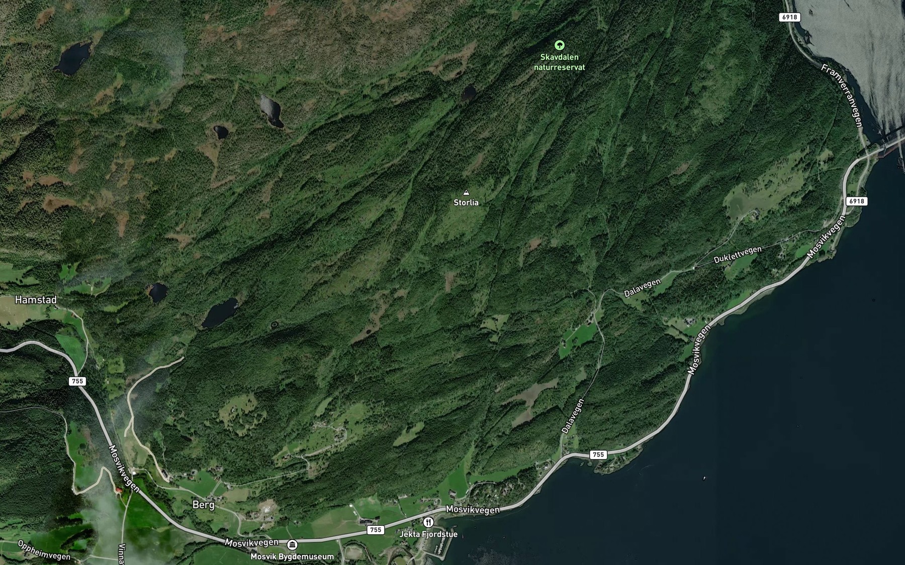 Satellite map of the Langmyrtjorna