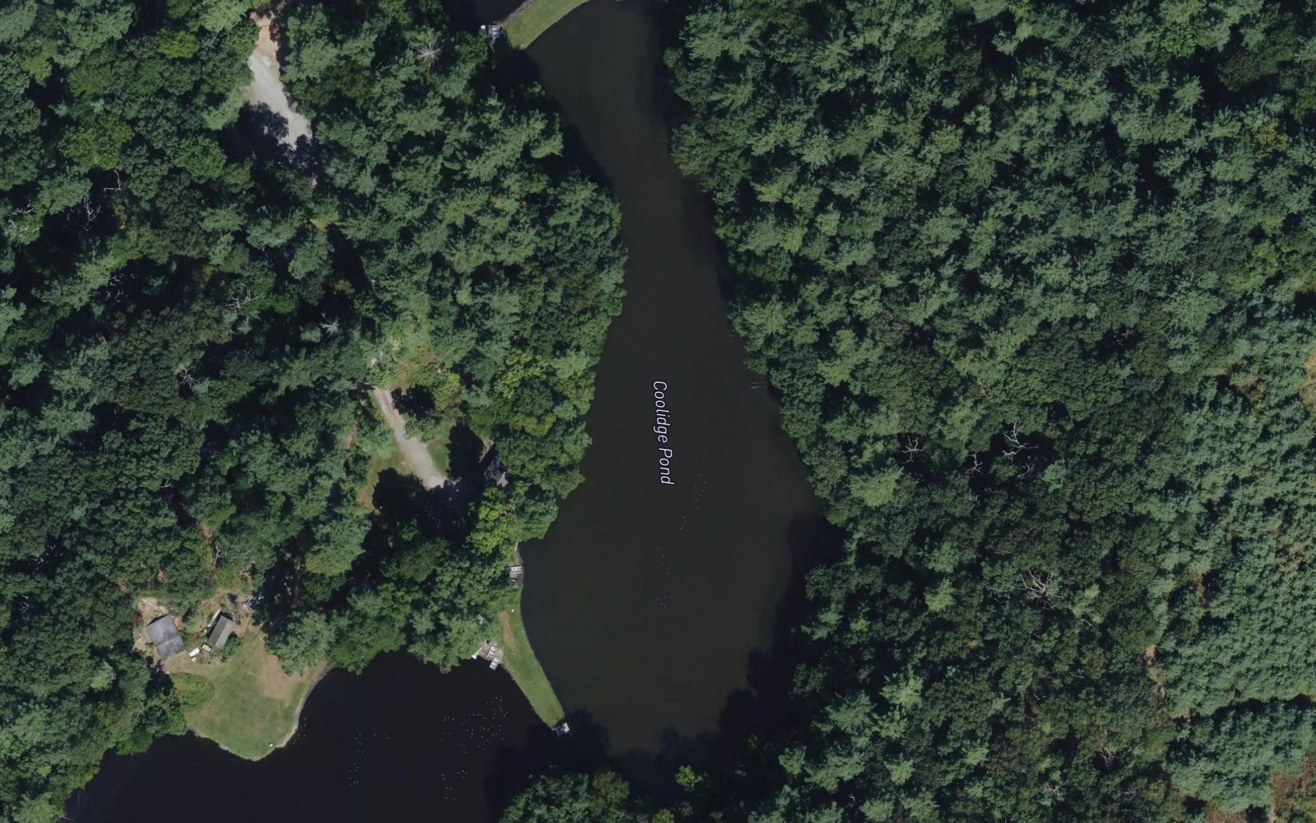 Coolidge Pond