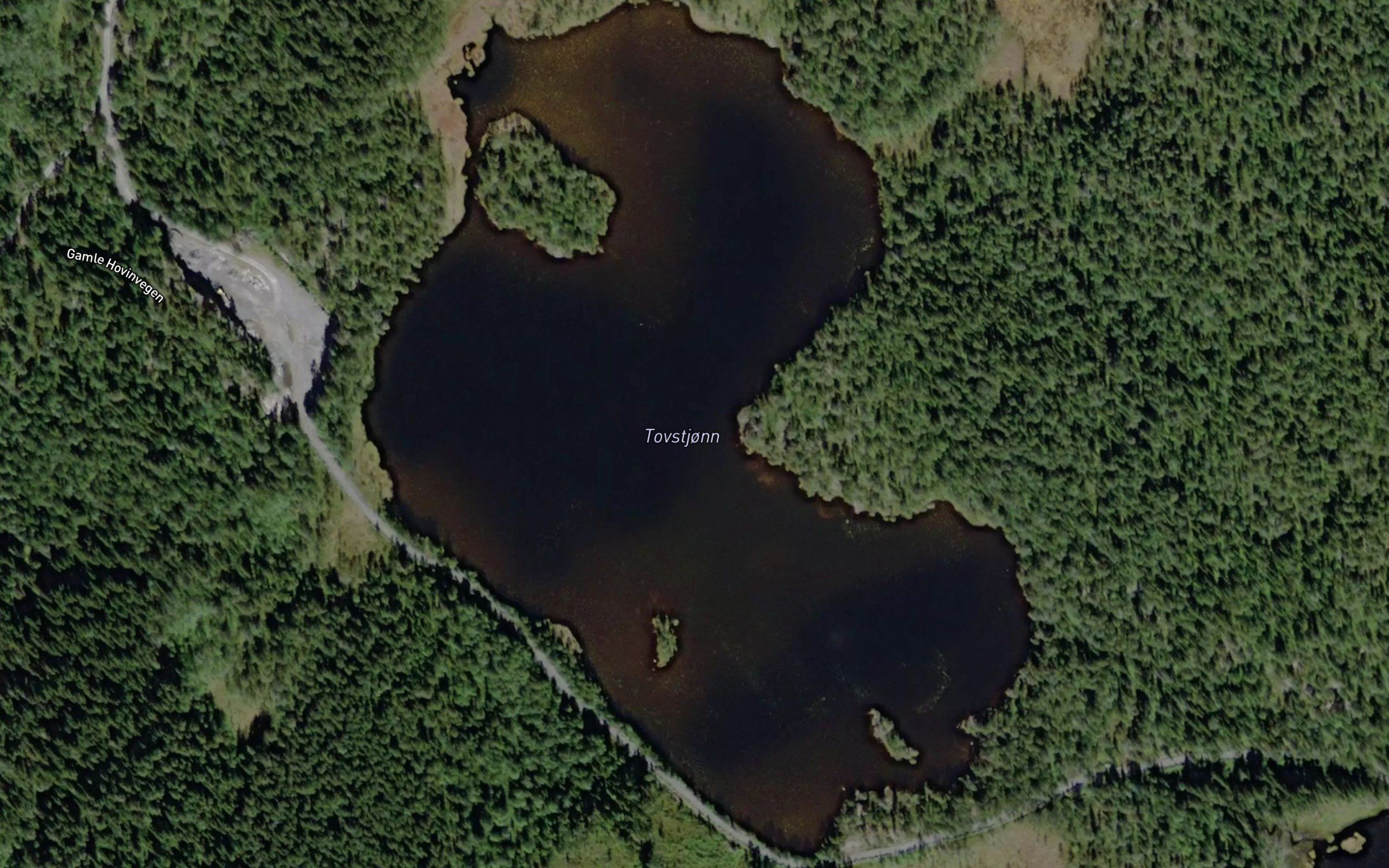Tovstjorn