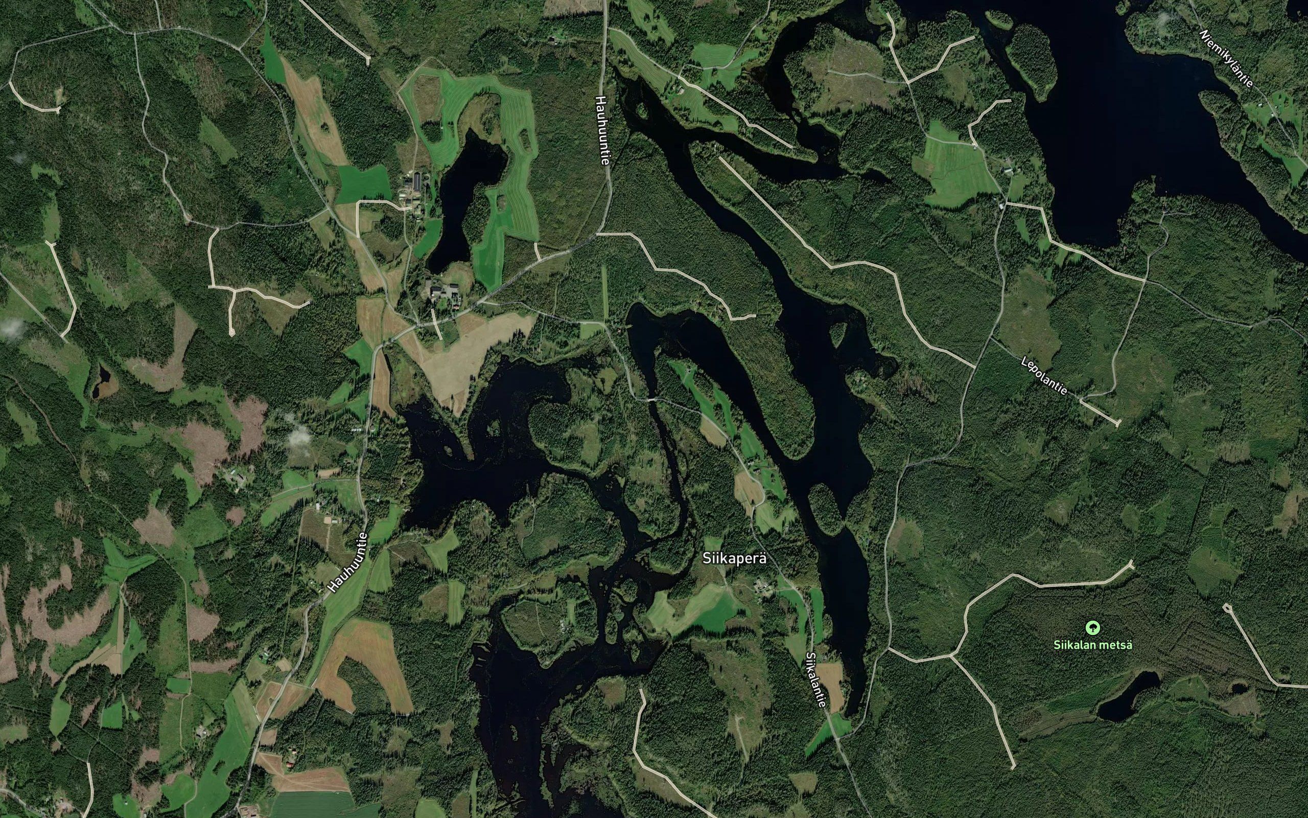 Siikavirta