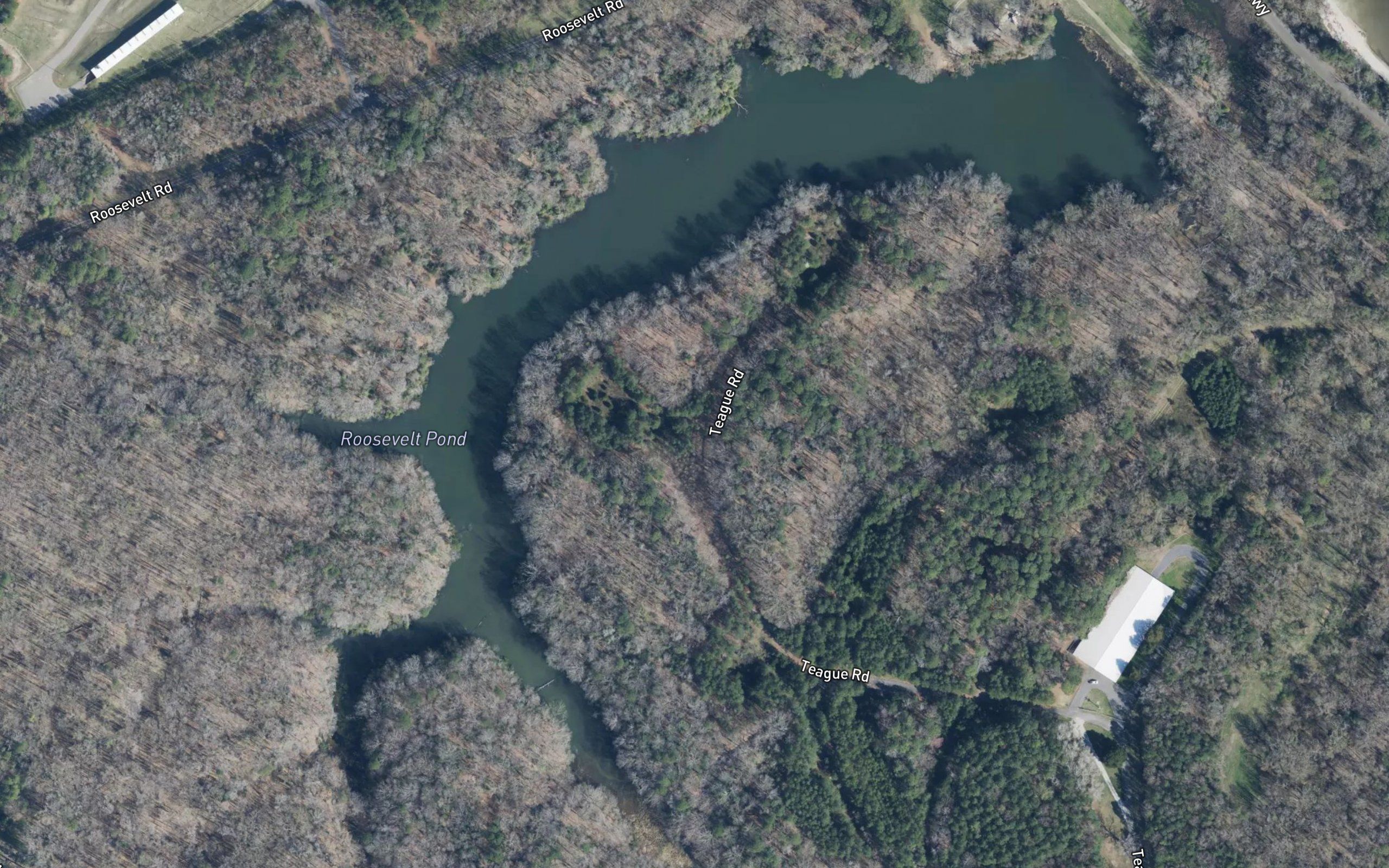 Roosevelt Pond
