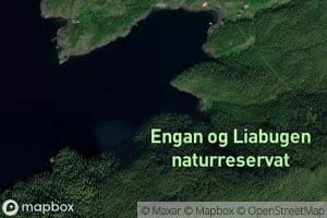 Litl-Purkvika