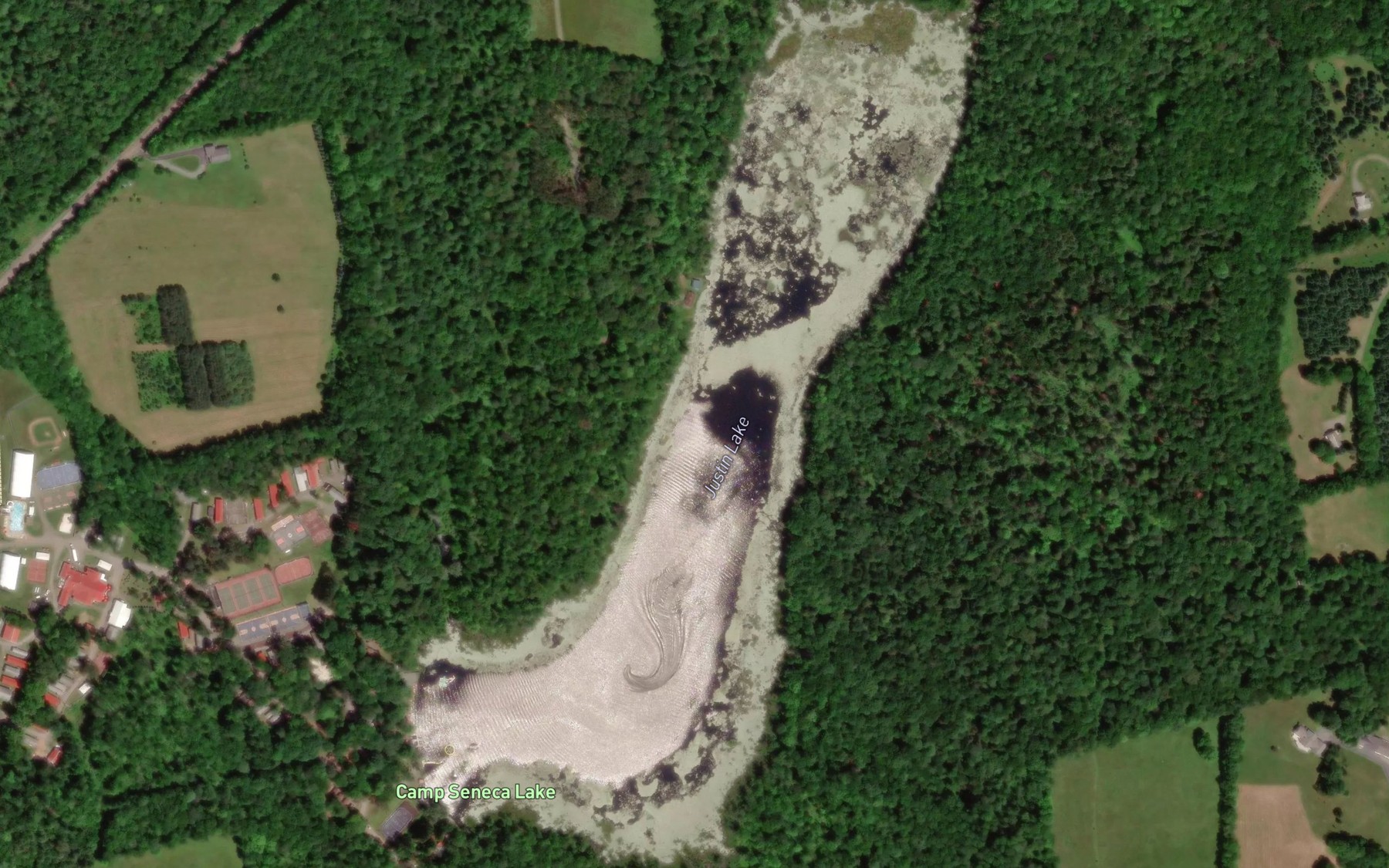 Satellite map of the Justin Lake