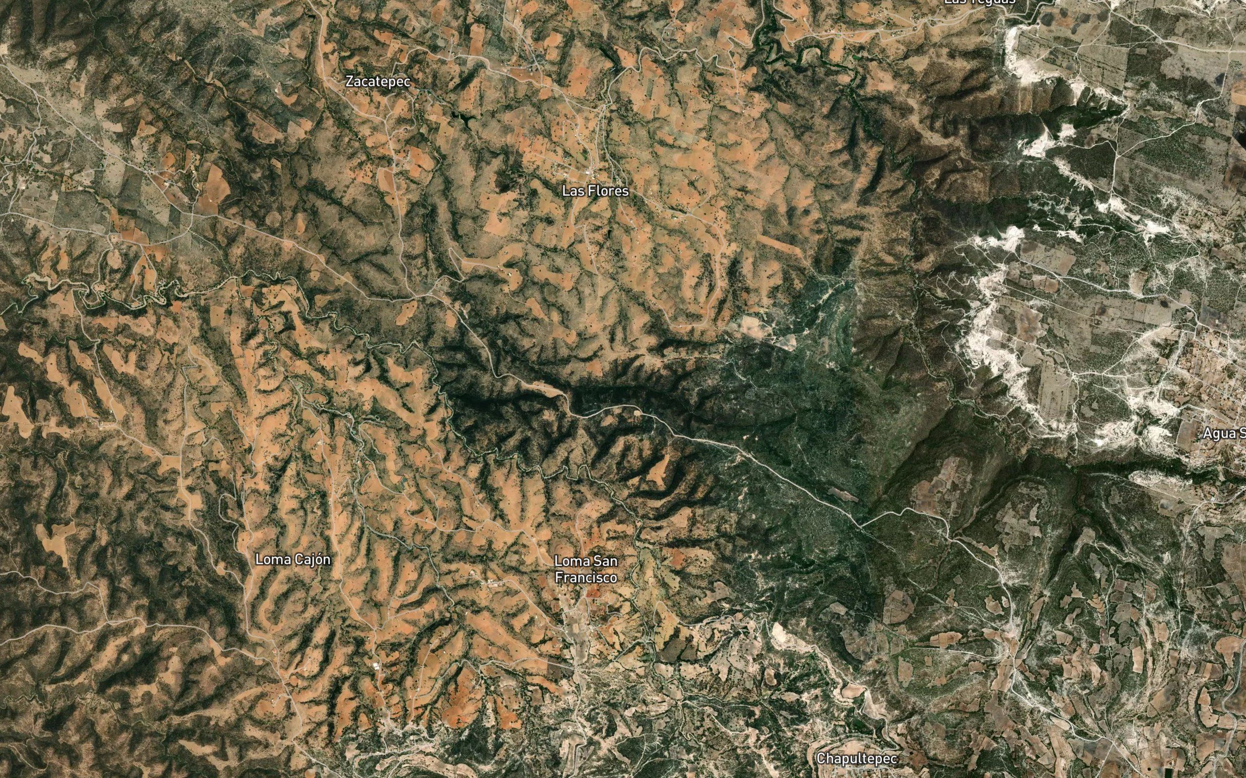 Barranca Palmon