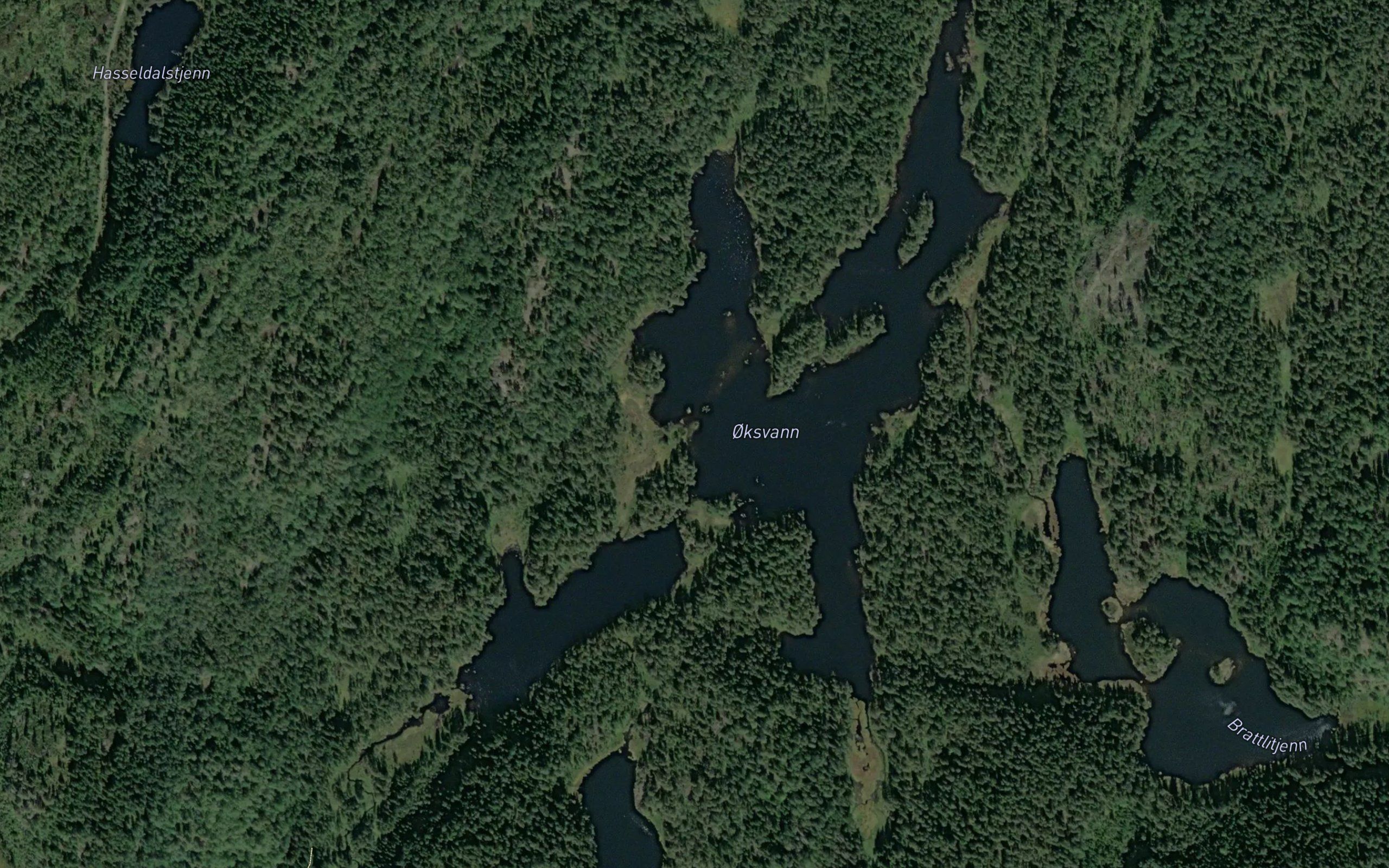 Oksvann