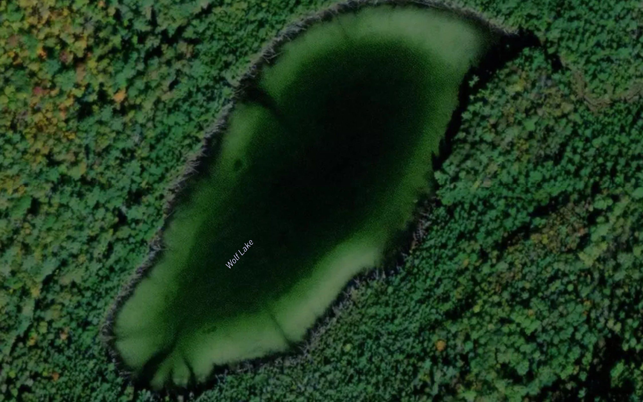 Wolf Lake