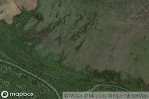 Whangamarino River