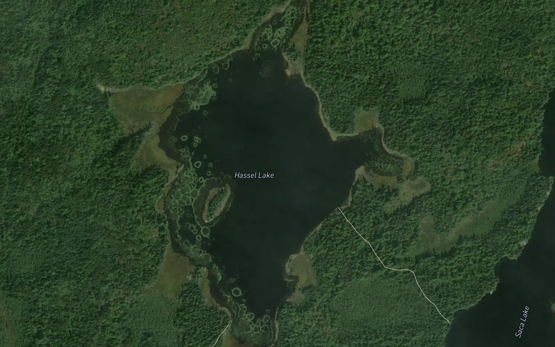 Satellite map of the Hassel Lake