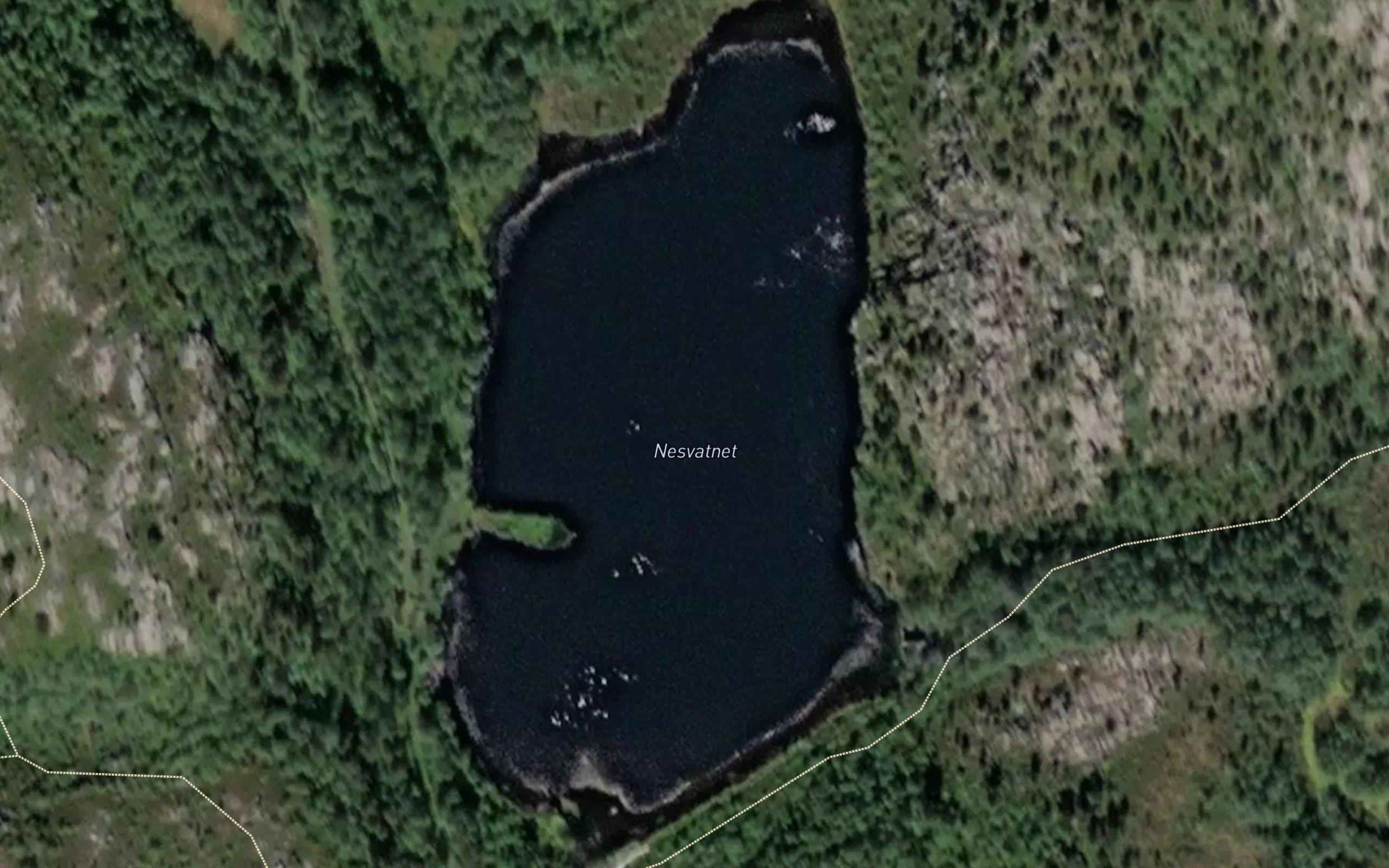 Nesvatnet