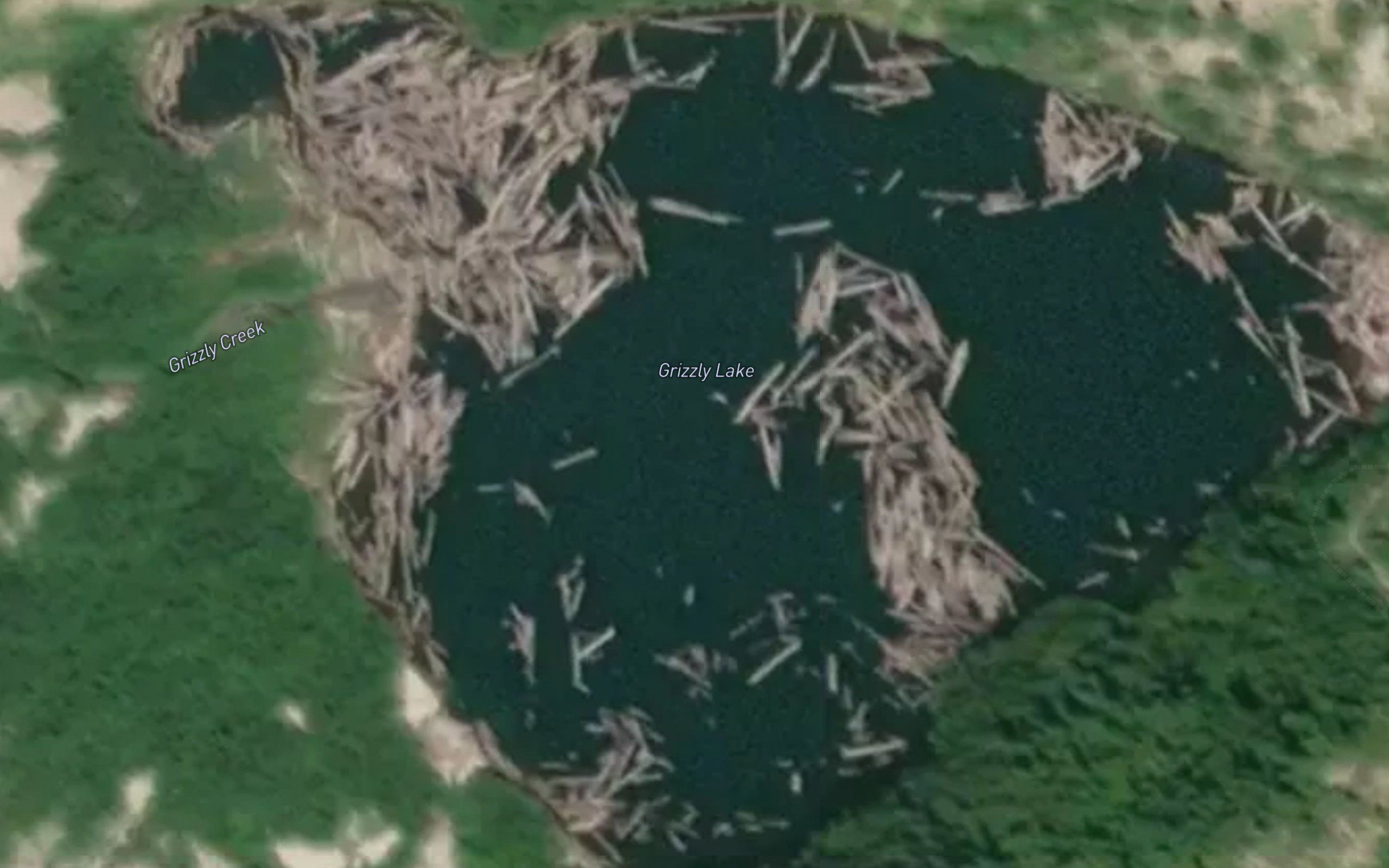 Grizzly Lake
