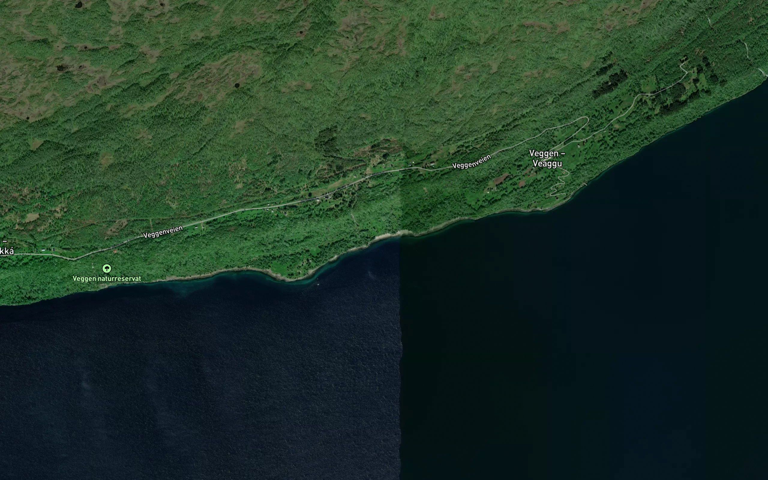 Sommarvika