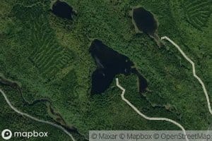 Lac Coleman
