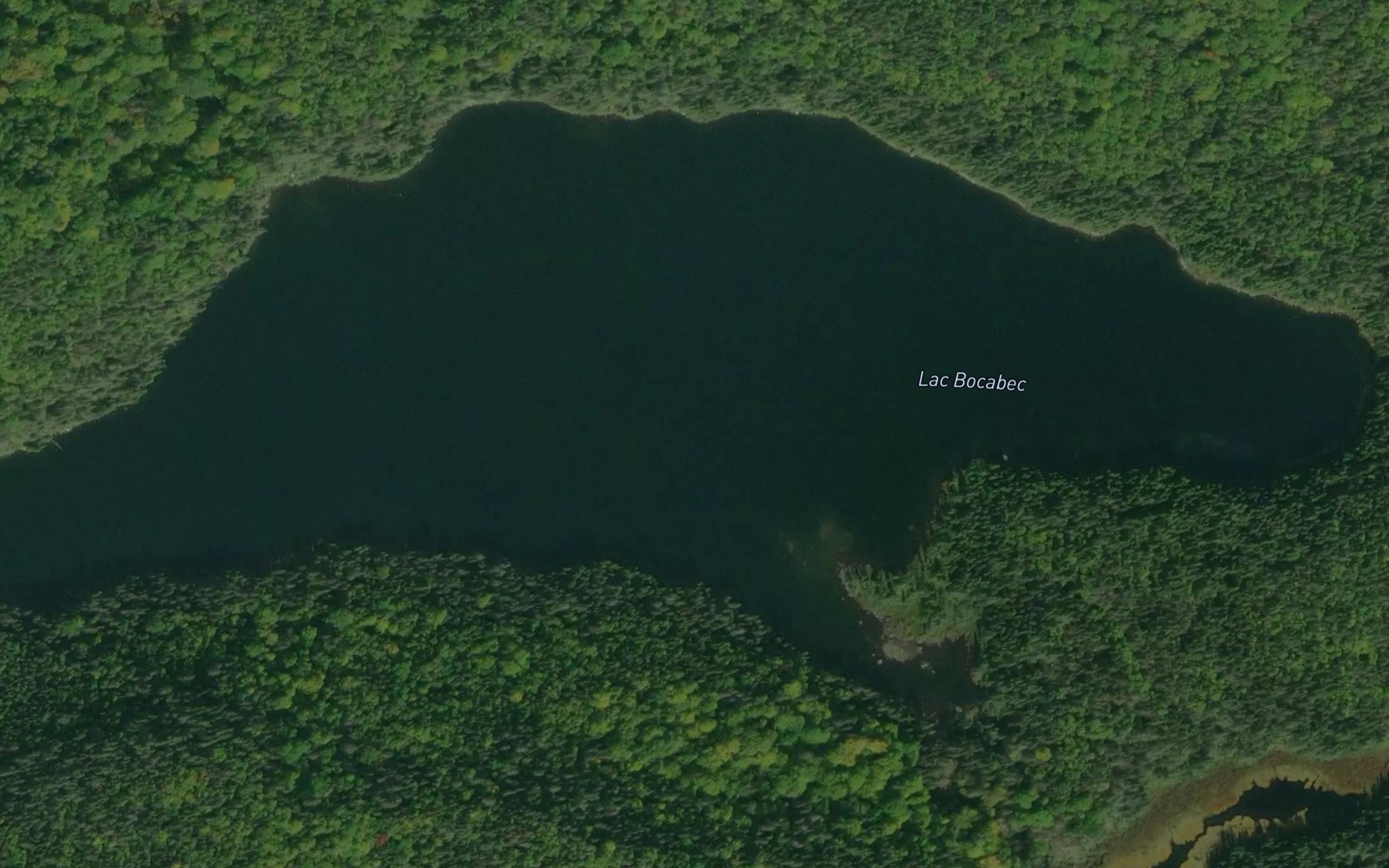 Satellite map of the Lac Bocabec