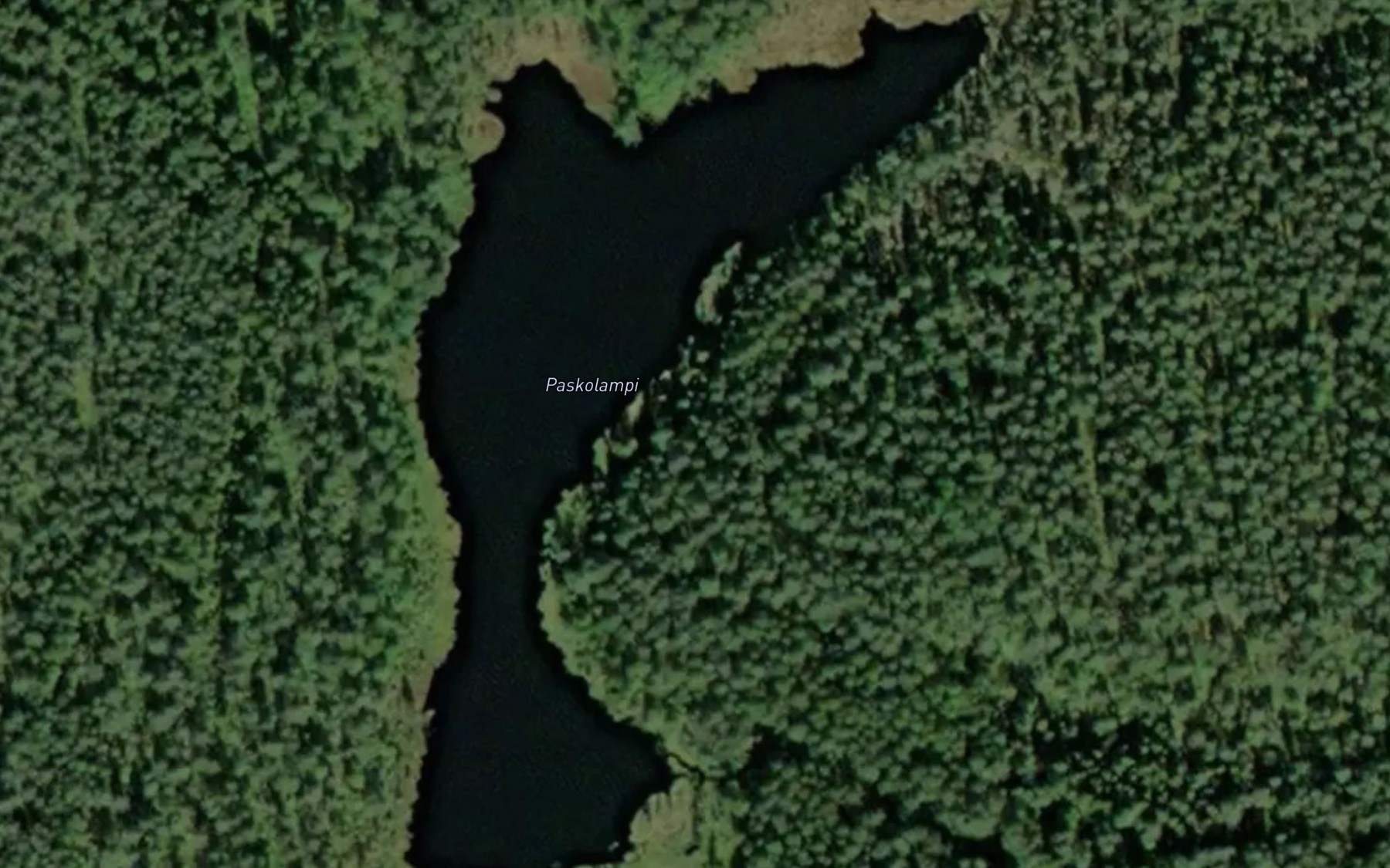 Satellite map of the Paskolampi
