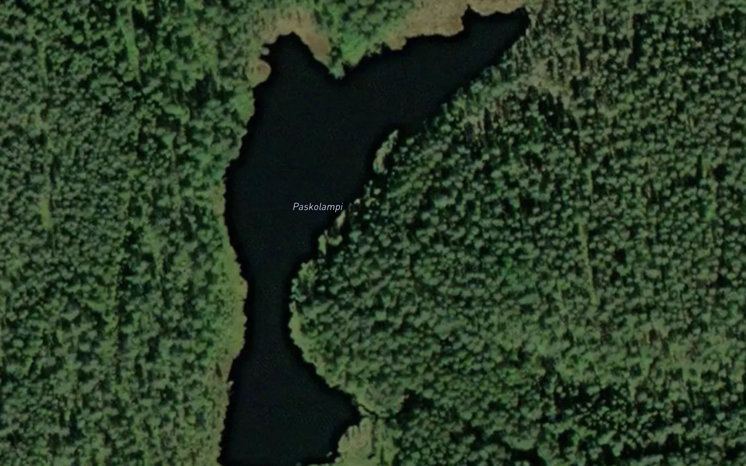 Paskolampi