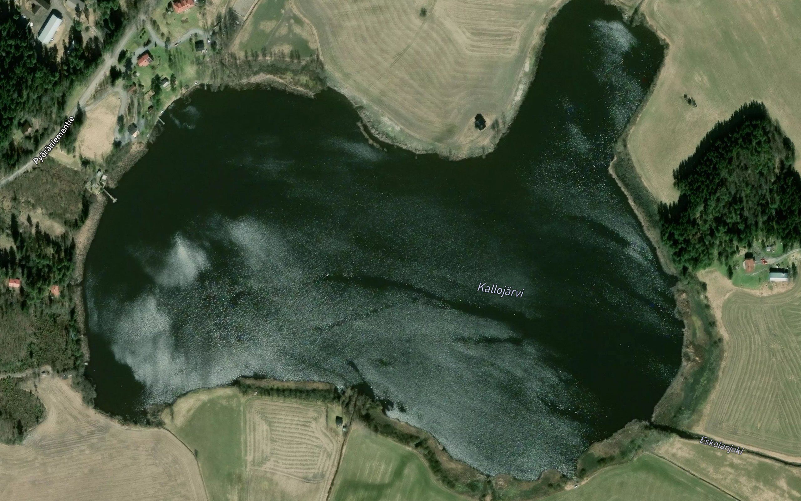 Kallojarvi